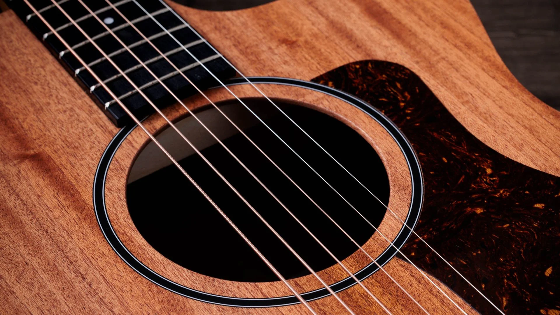 Taylor 24ce Westerngitarre Schallloch 