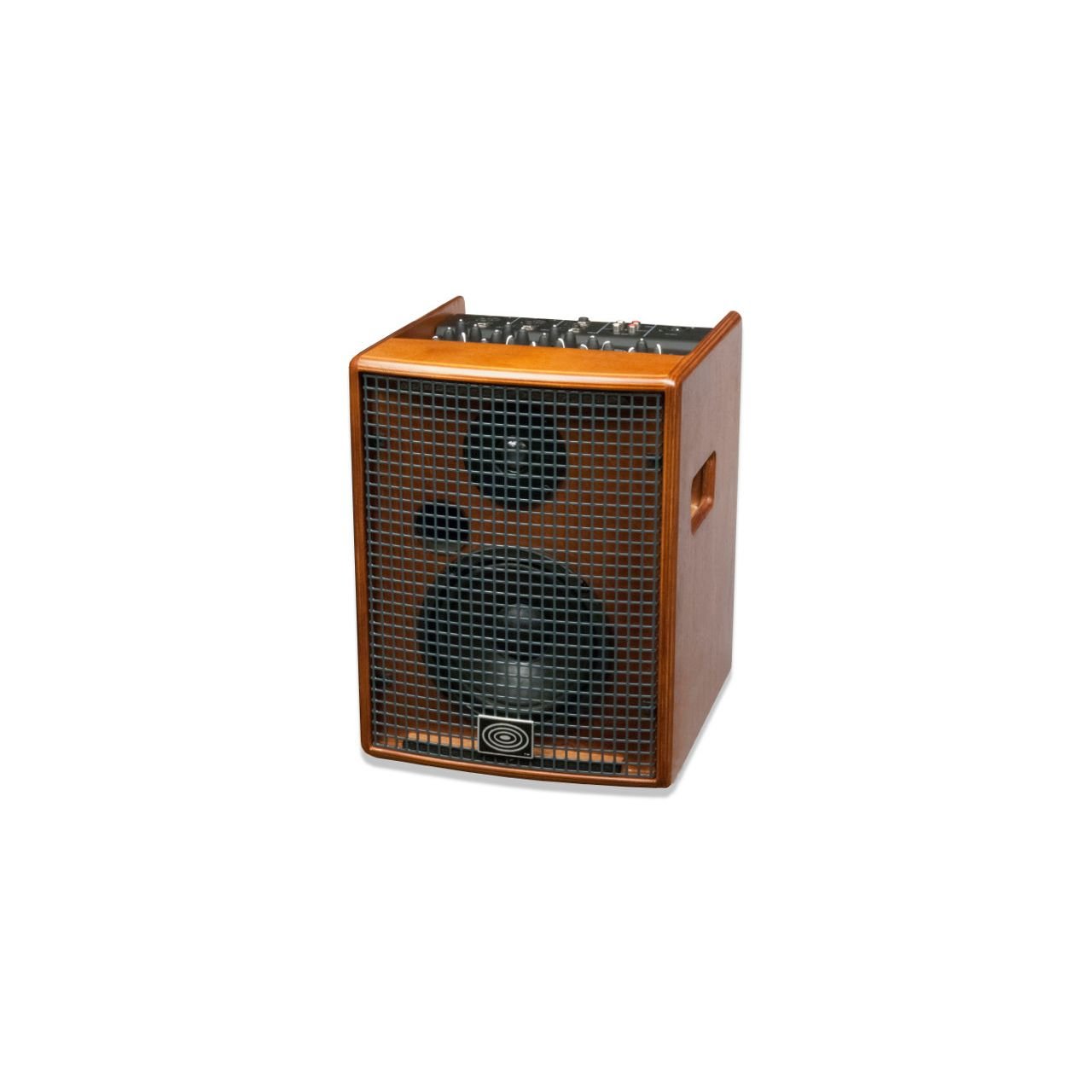 Jam 100 Wood - Akustikverstärker