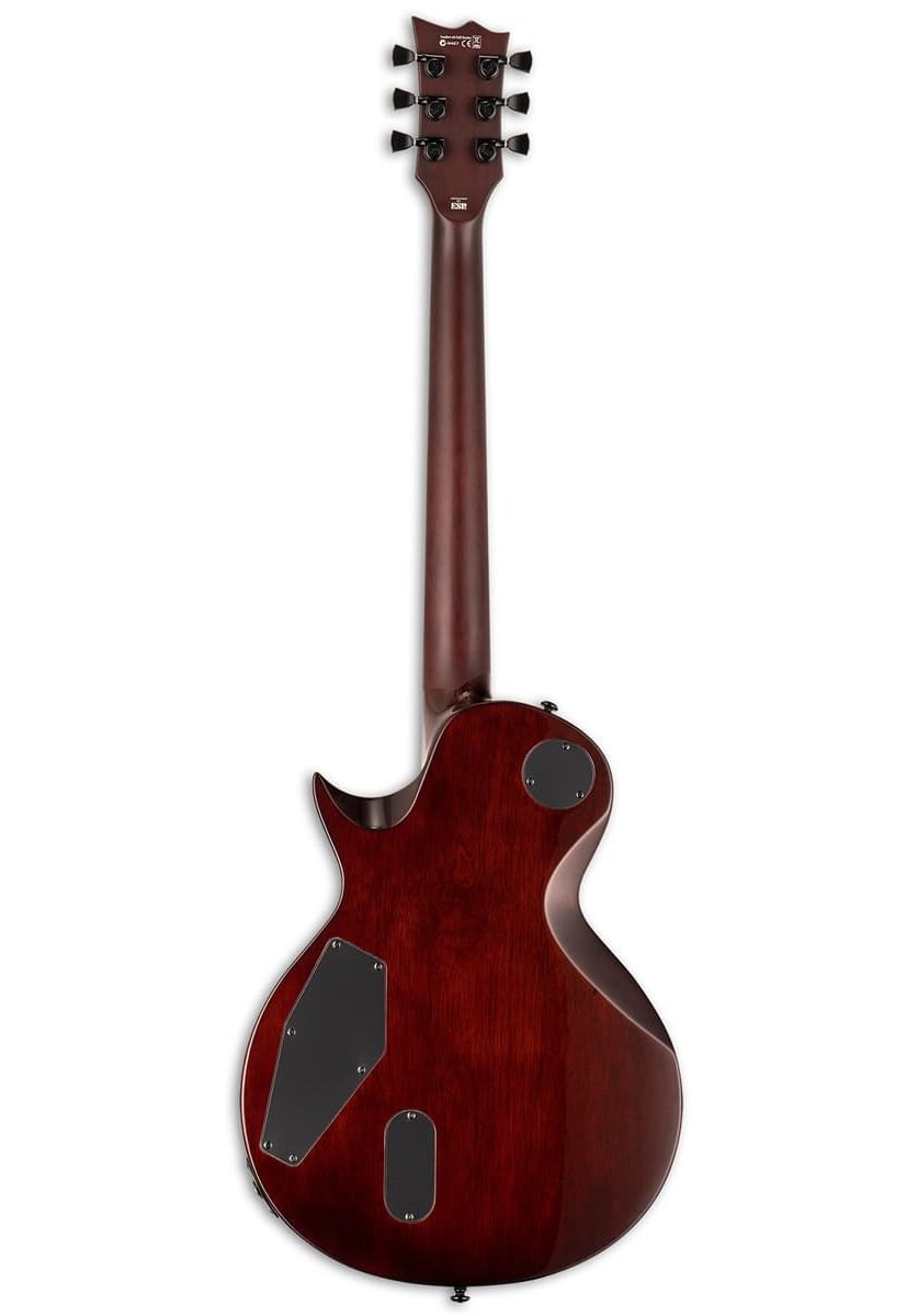 EC-1001 - Tiger Eye