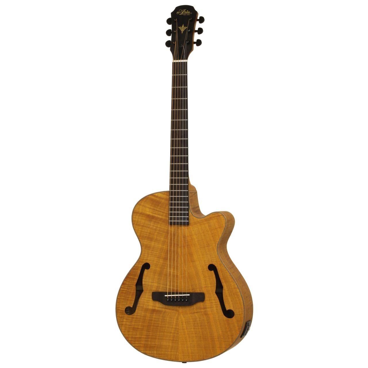 FET F2 Akustikgitarre Stained brown