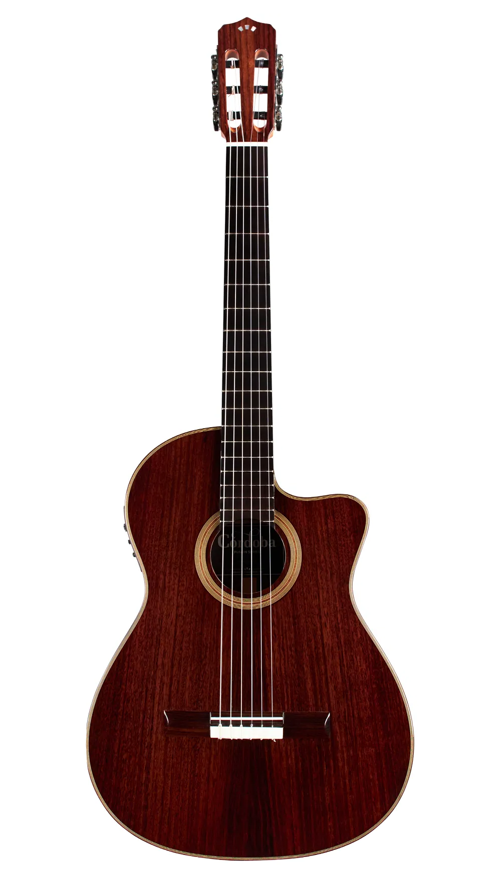 Fusion 12 Rose II