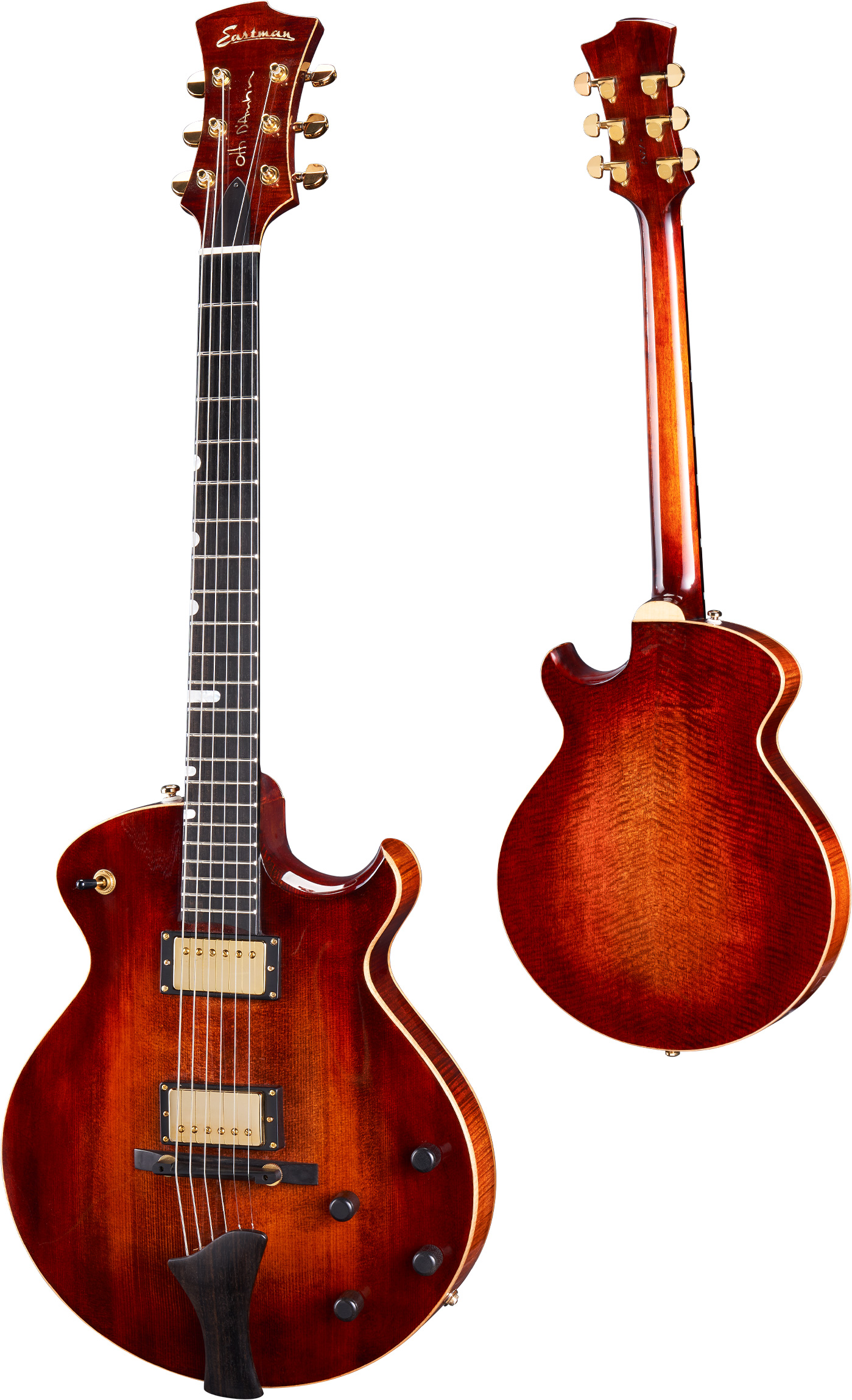 ER2 Classic Jazz-Gitarre