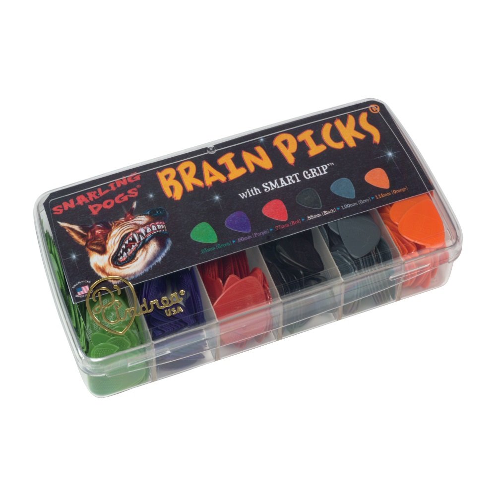 Snarling Dog Brain Picks - 351 Shape (SDB51), 432 pcs Pick Kit
