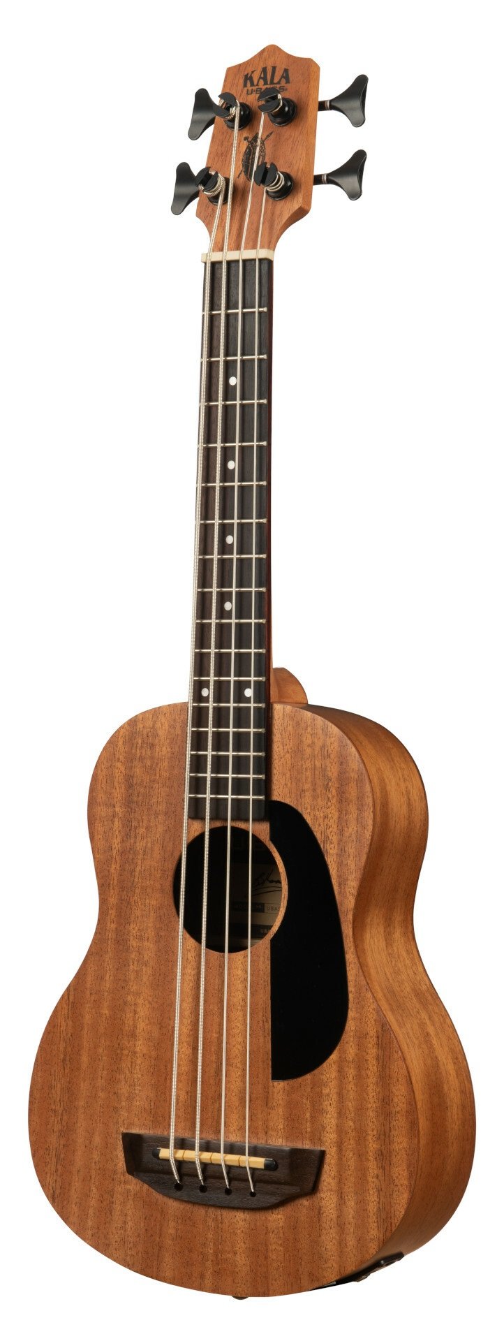 U-Bass Bakithi Kumalo Signature Acoustic-Electric, Fretted, with Bag