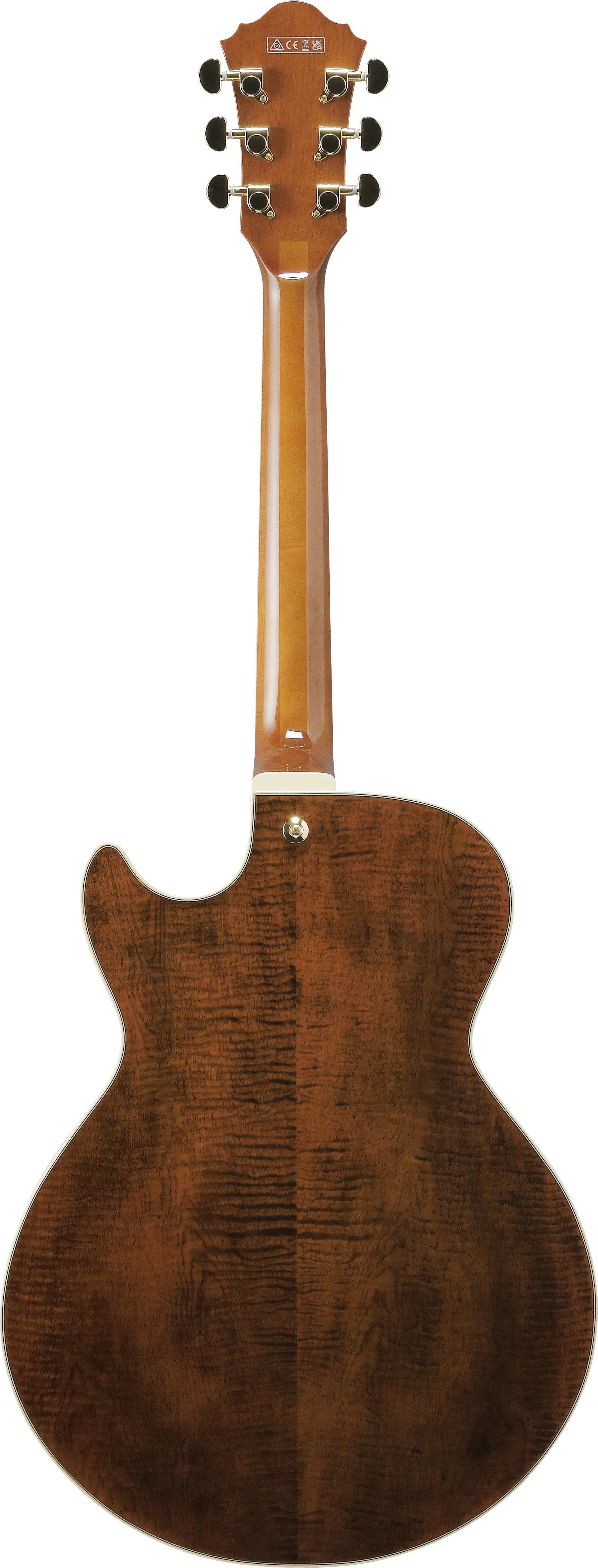 AG95MG-DA Artcore Hollowbody  