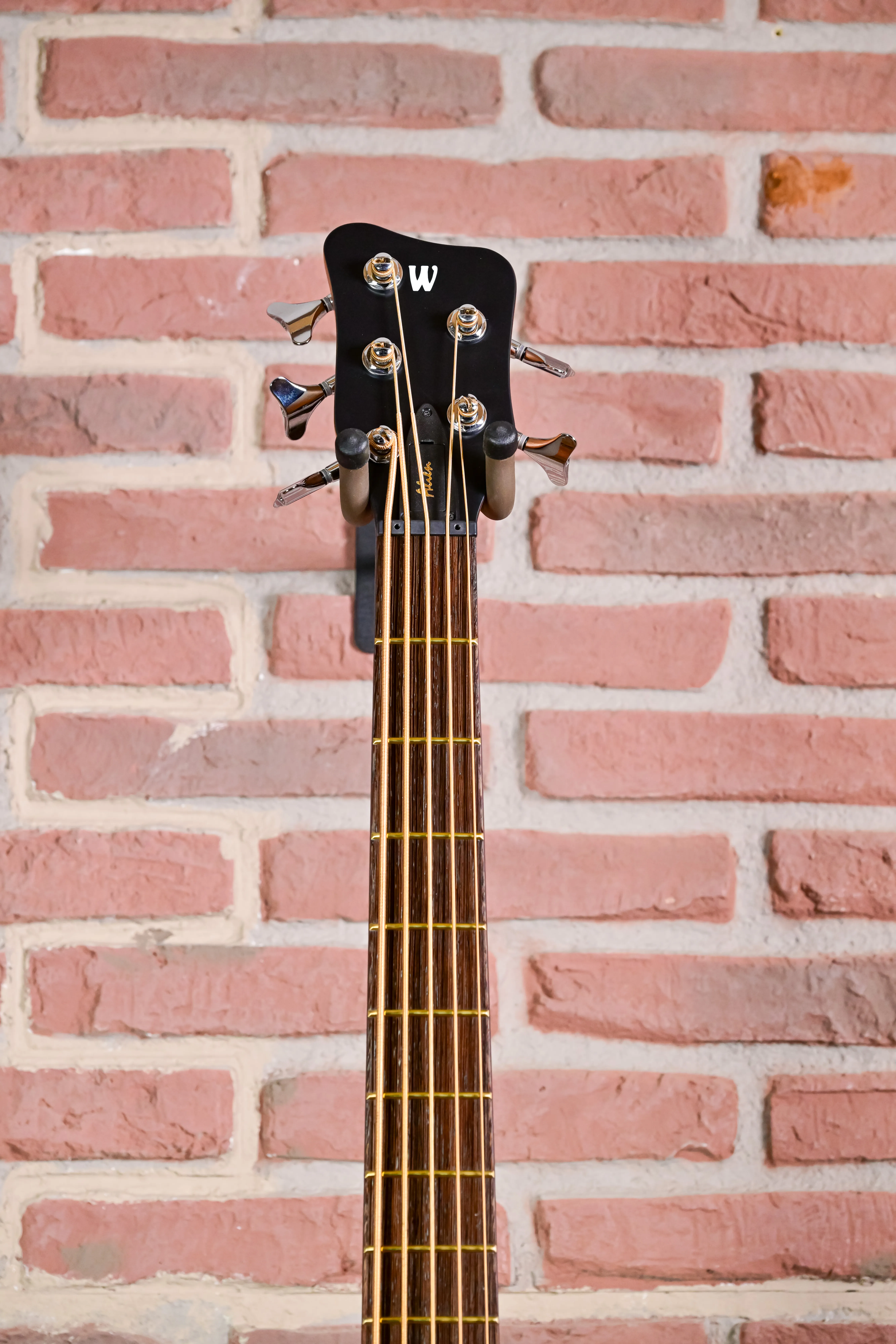 Alien 5 Natural 5-String Acoustic Bass Fretted (B-Stock)