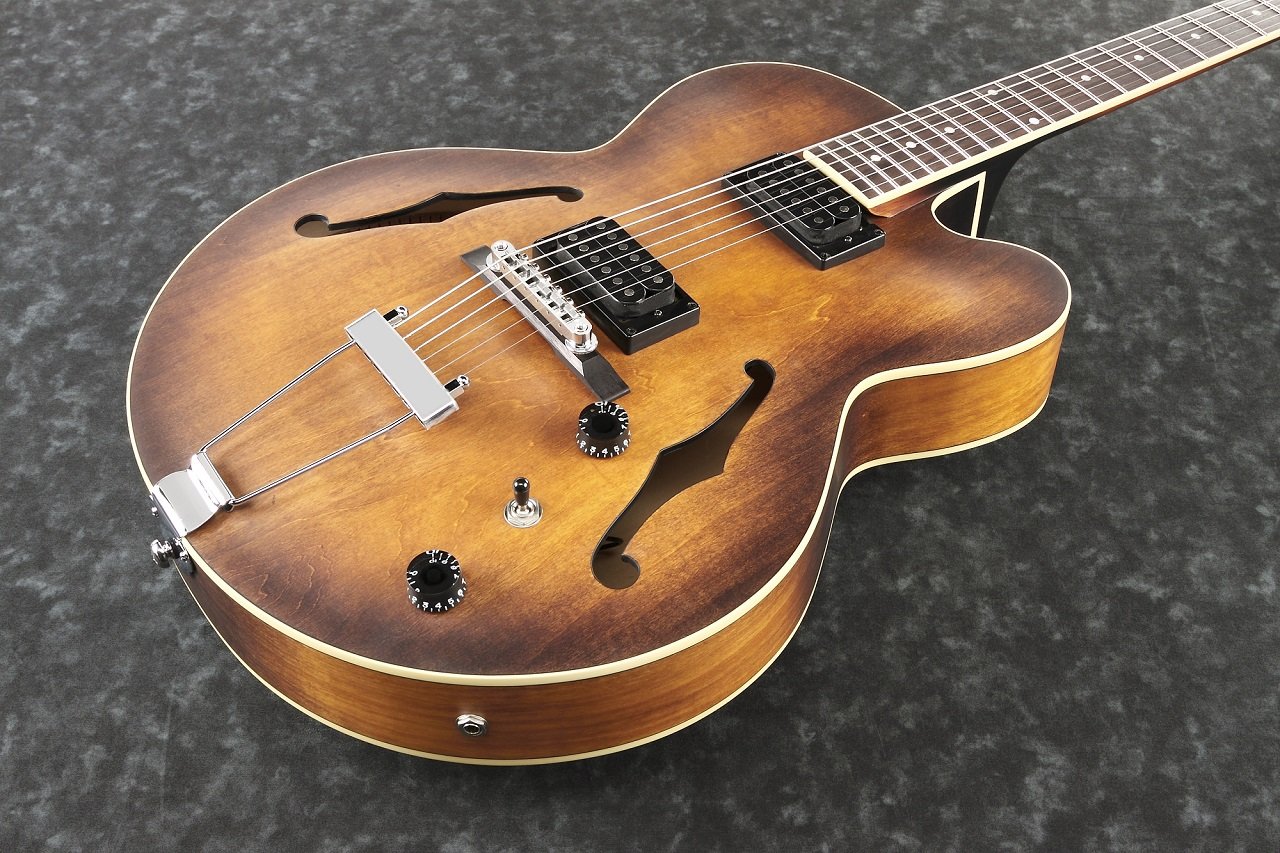 AF55- TF E-Gitarre