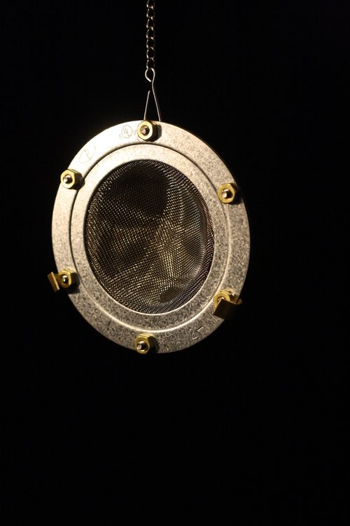 EAR Trumpet Labs Edwina Popfilter Hinteransicht