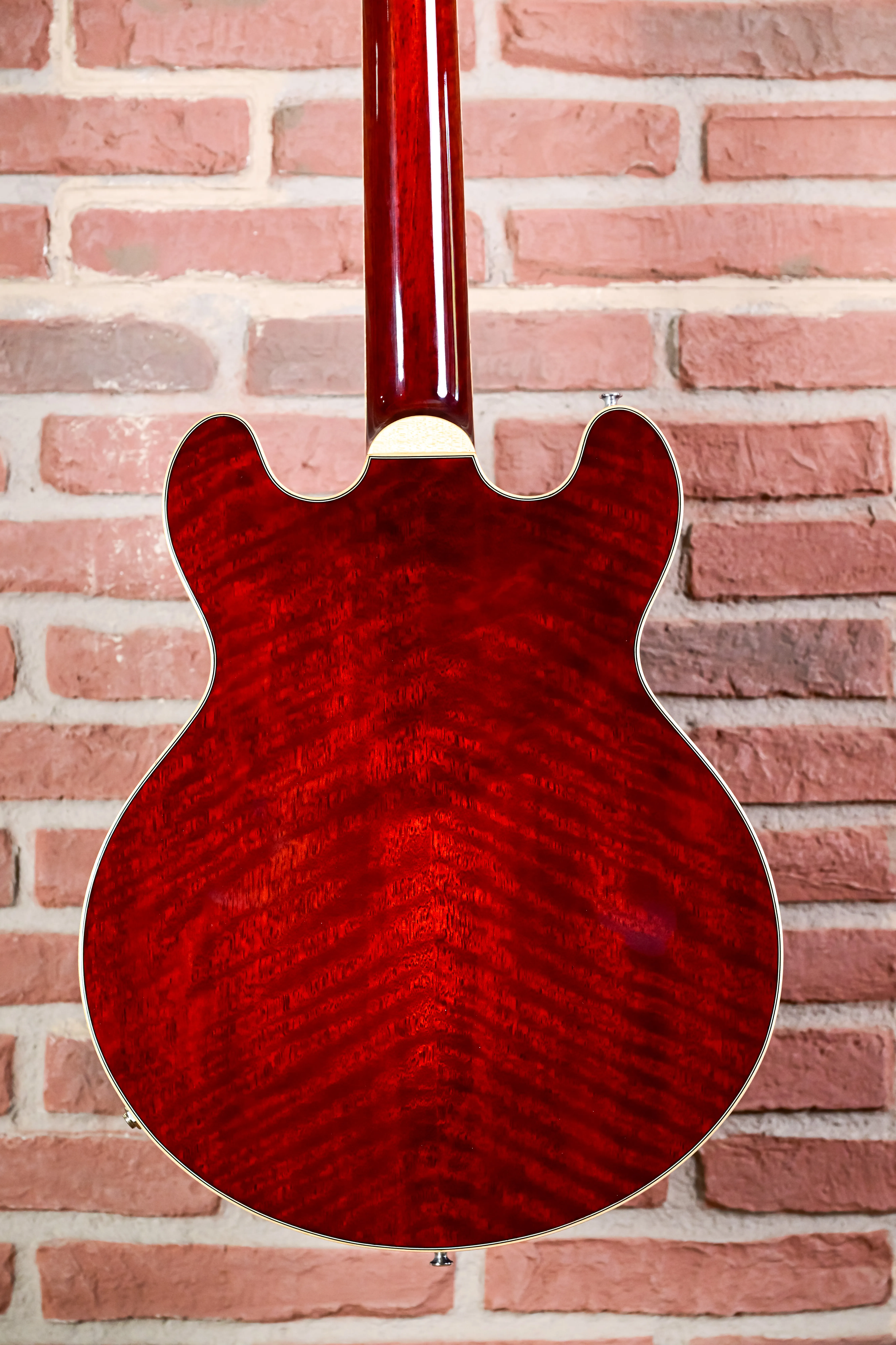 T184MX Hollowbody Thinline Bare Knuckle Pickups
