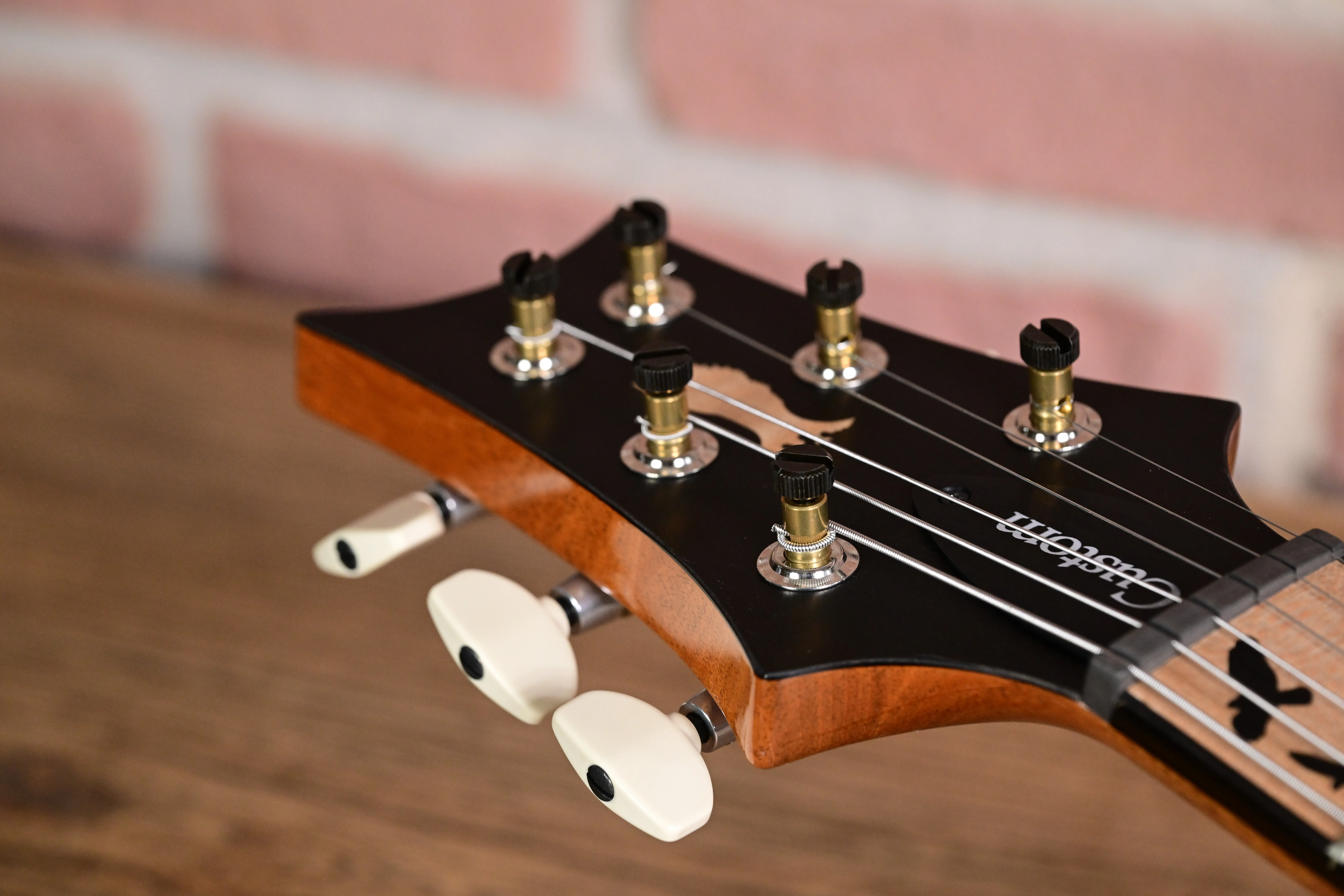 Custom 24 Birds of a Feather Limited Charcoal Microburst E-Gitarre