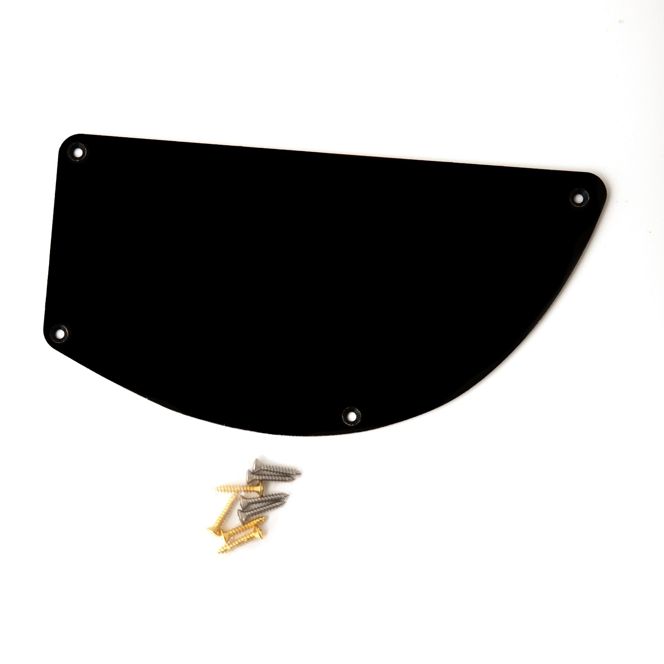 Electronics Backplate (Grainger Bass) 