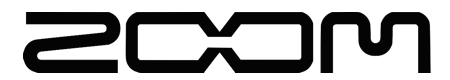 BCF-1 Gürtel-Clip für F1