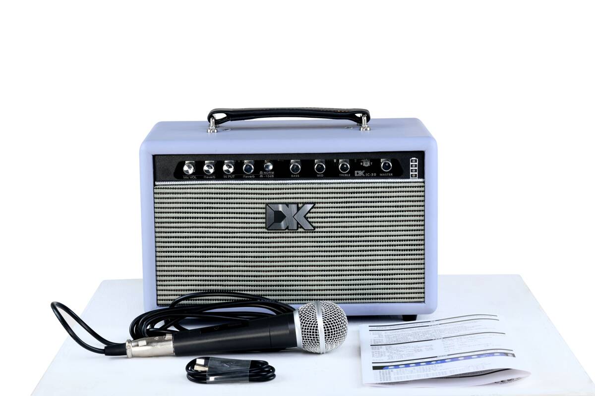 iC-30 Acoustic Guitar Amplifier