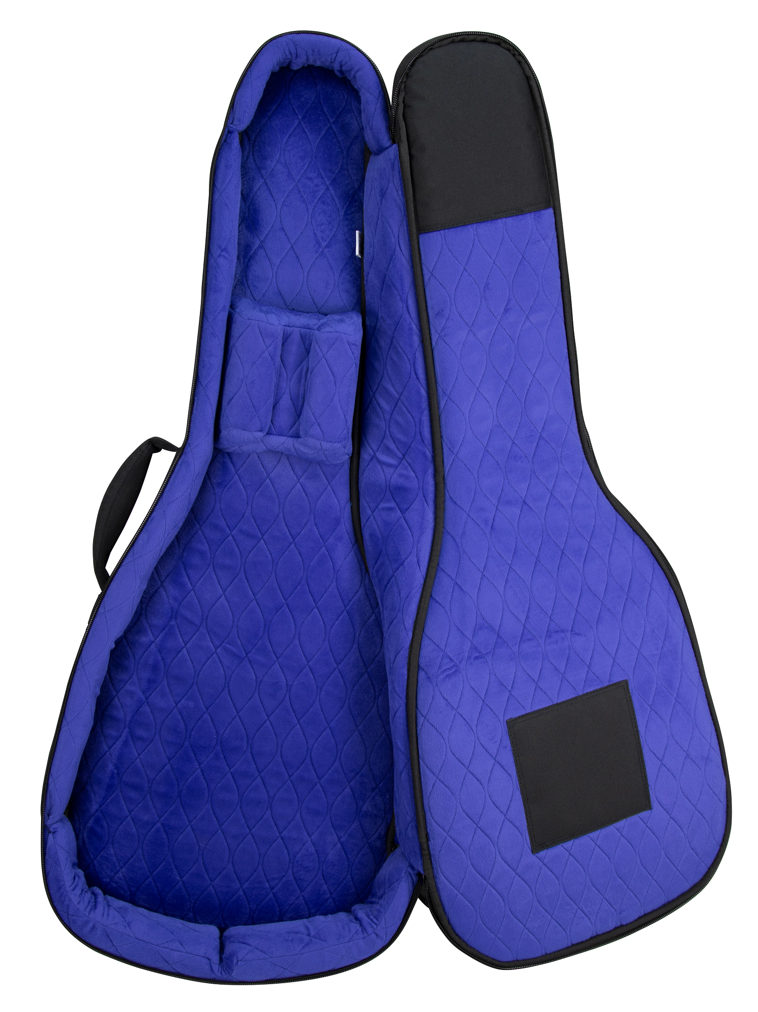 RBX-335 Hollow Body Guitar