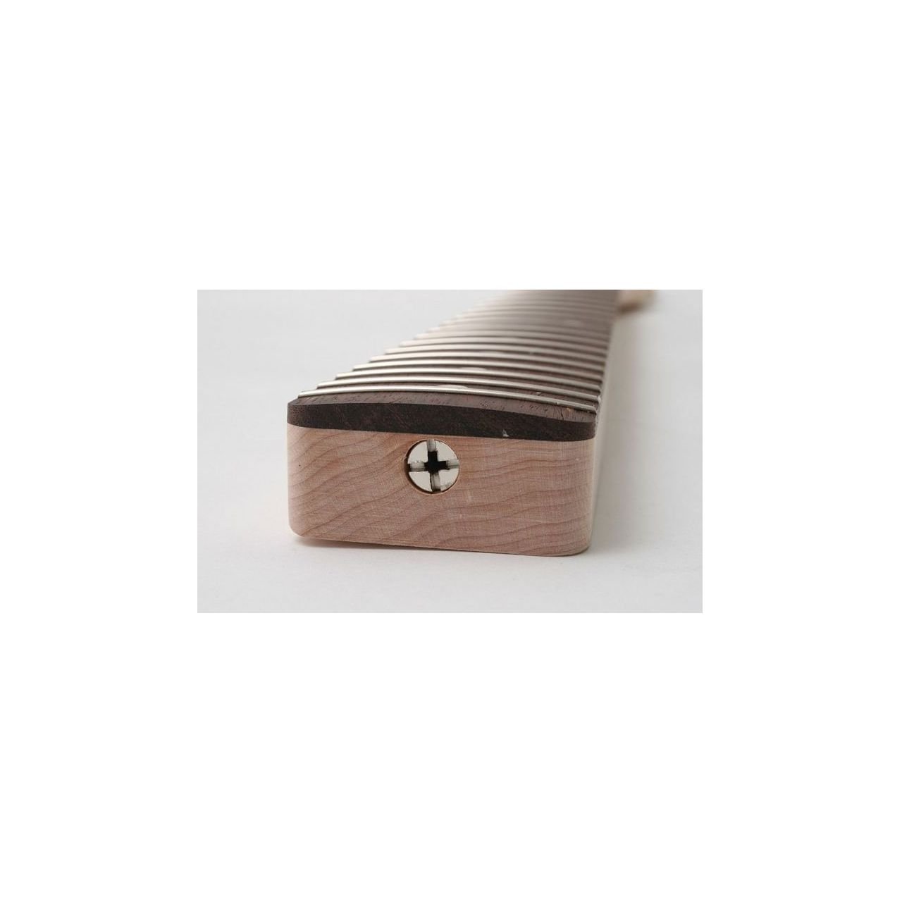 N008R Vintage-Hals für Telecaster