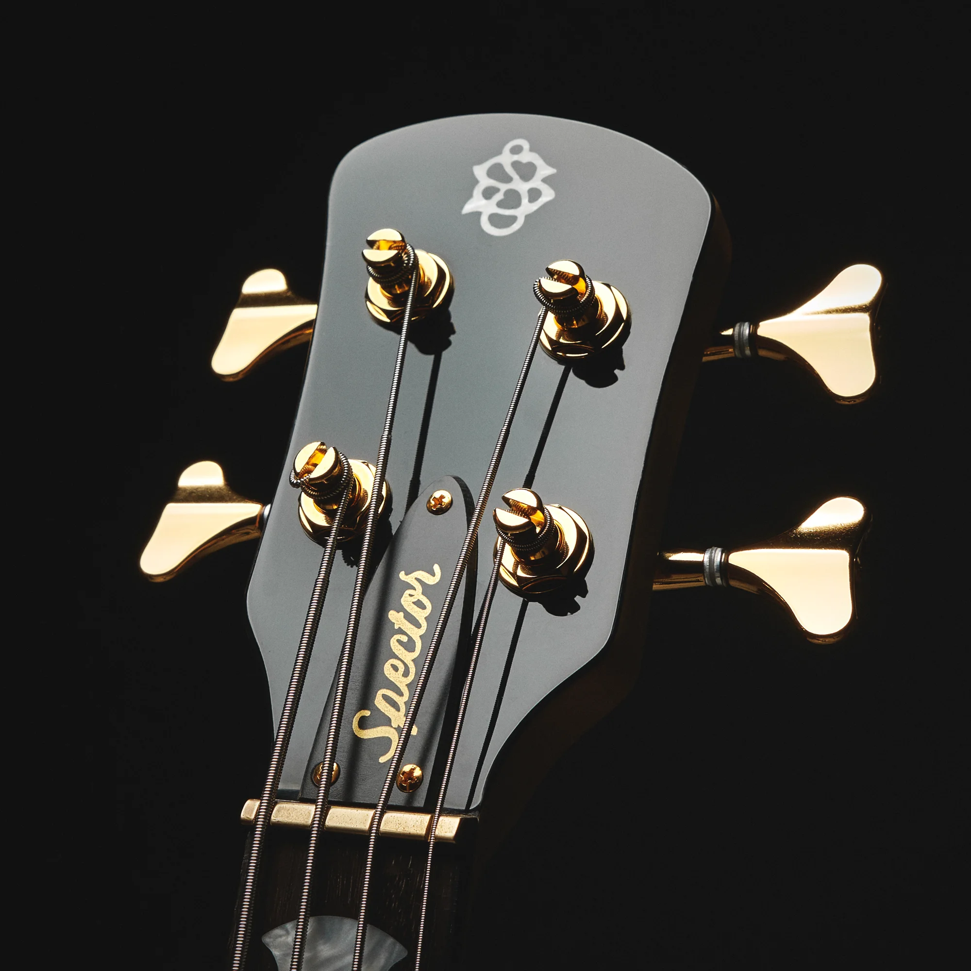 Icon NS-2 Bolt-On Black Stain Gloss