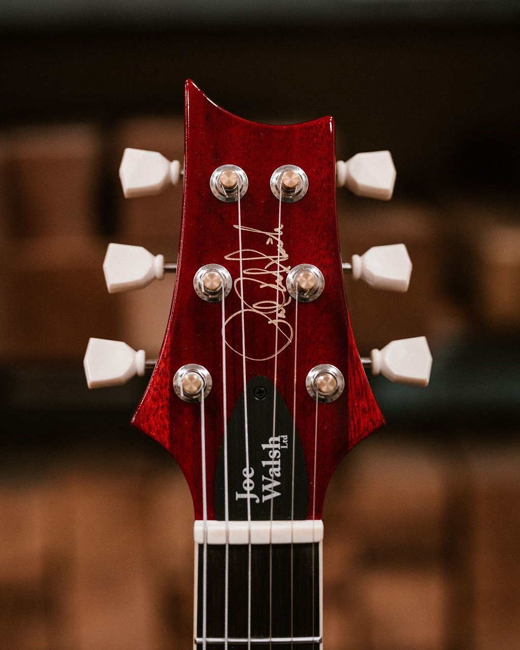 Joe Walsh McCarty 594 SingleCut - Limited Edition 