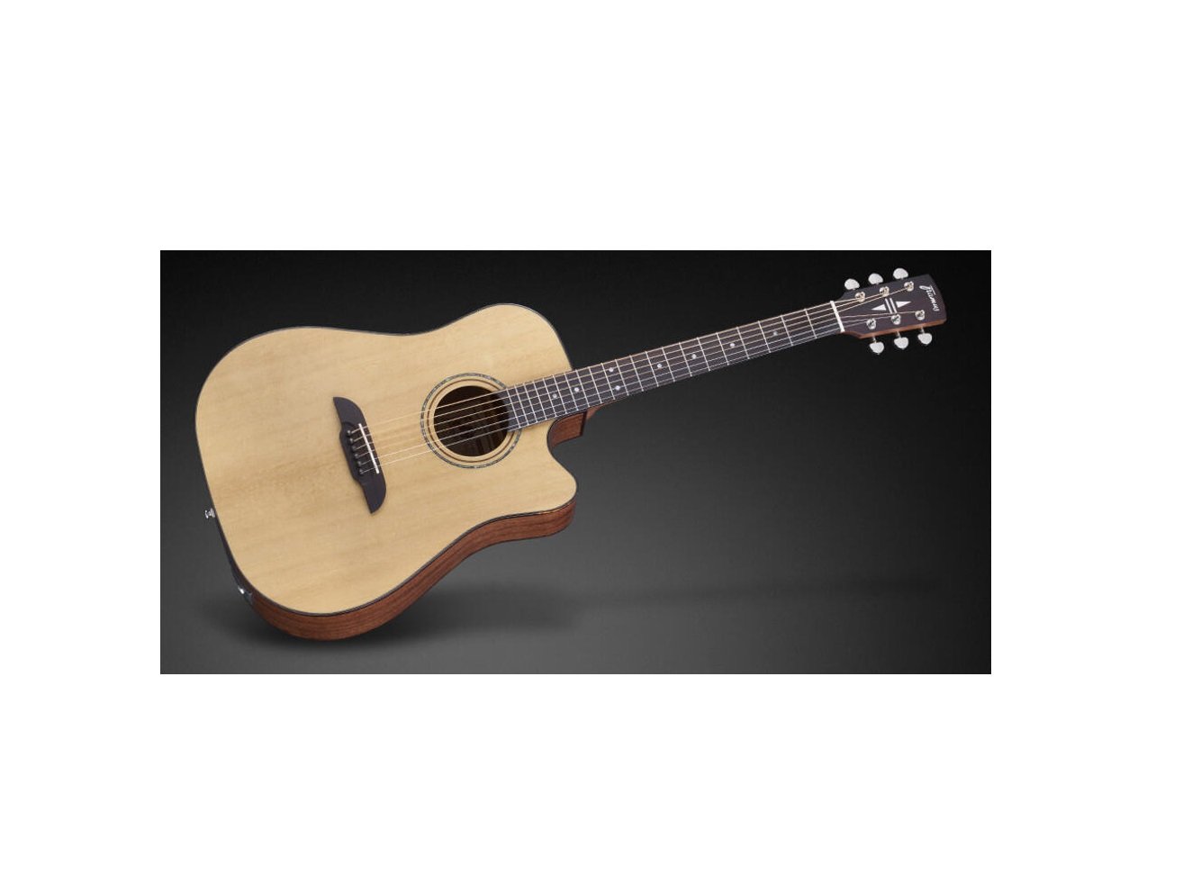 Legacy Series FD 14 SV Dreadnought, with Cutaway & EQ