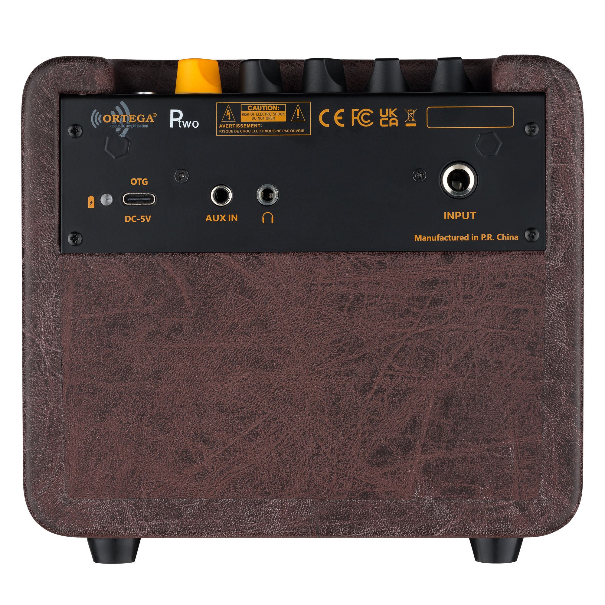 PTWO Bluetooth Verstärker/Lautsprecher mit Effekten 12 Watt