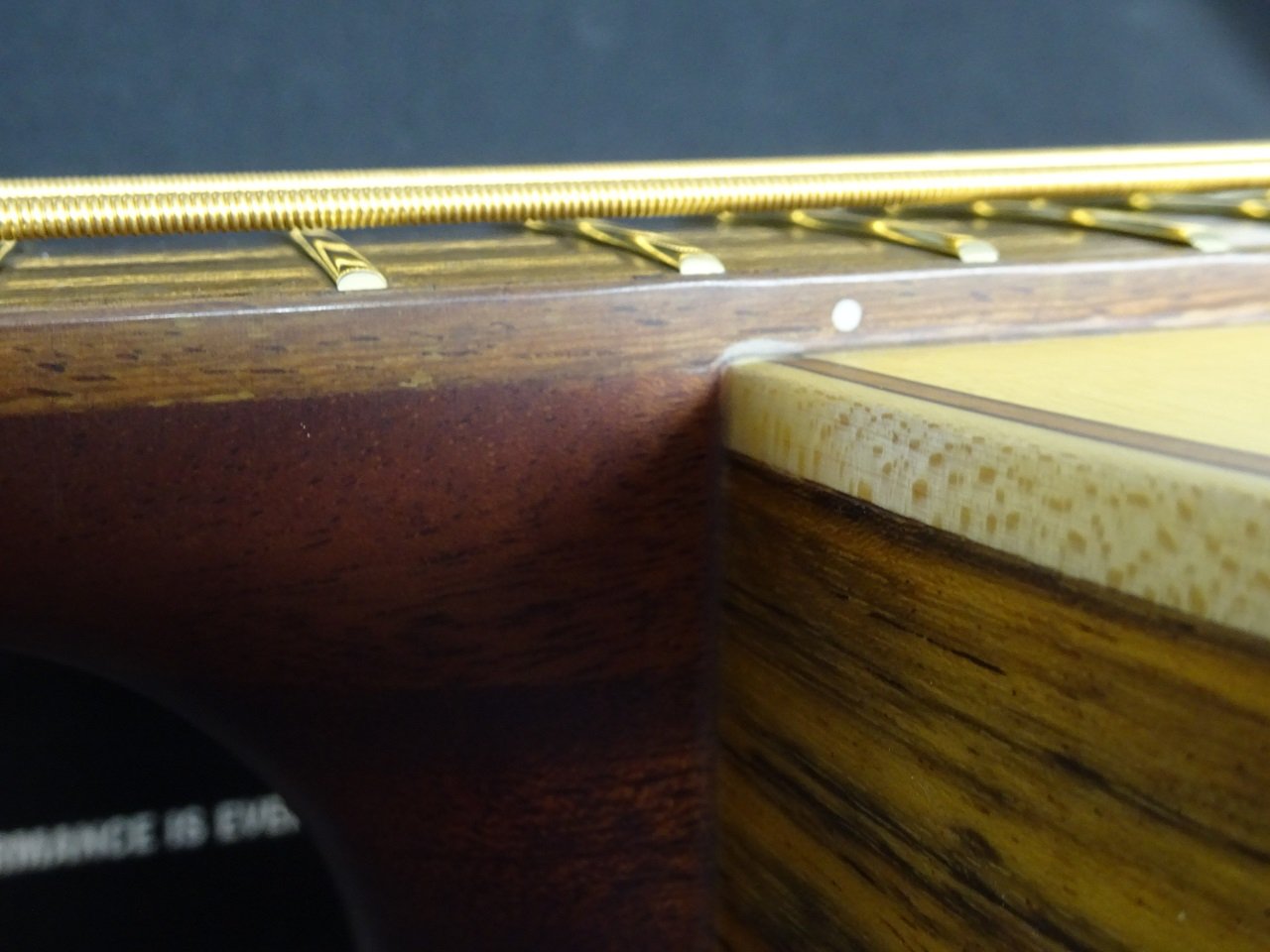 Alien, 4-String - Natural Transparent Satin "B-Stock"