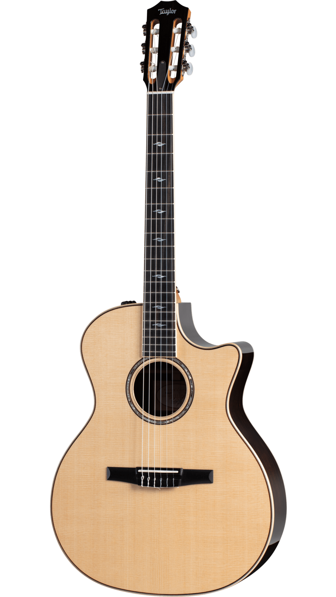Taylor 814ce-N inkl. Koffer