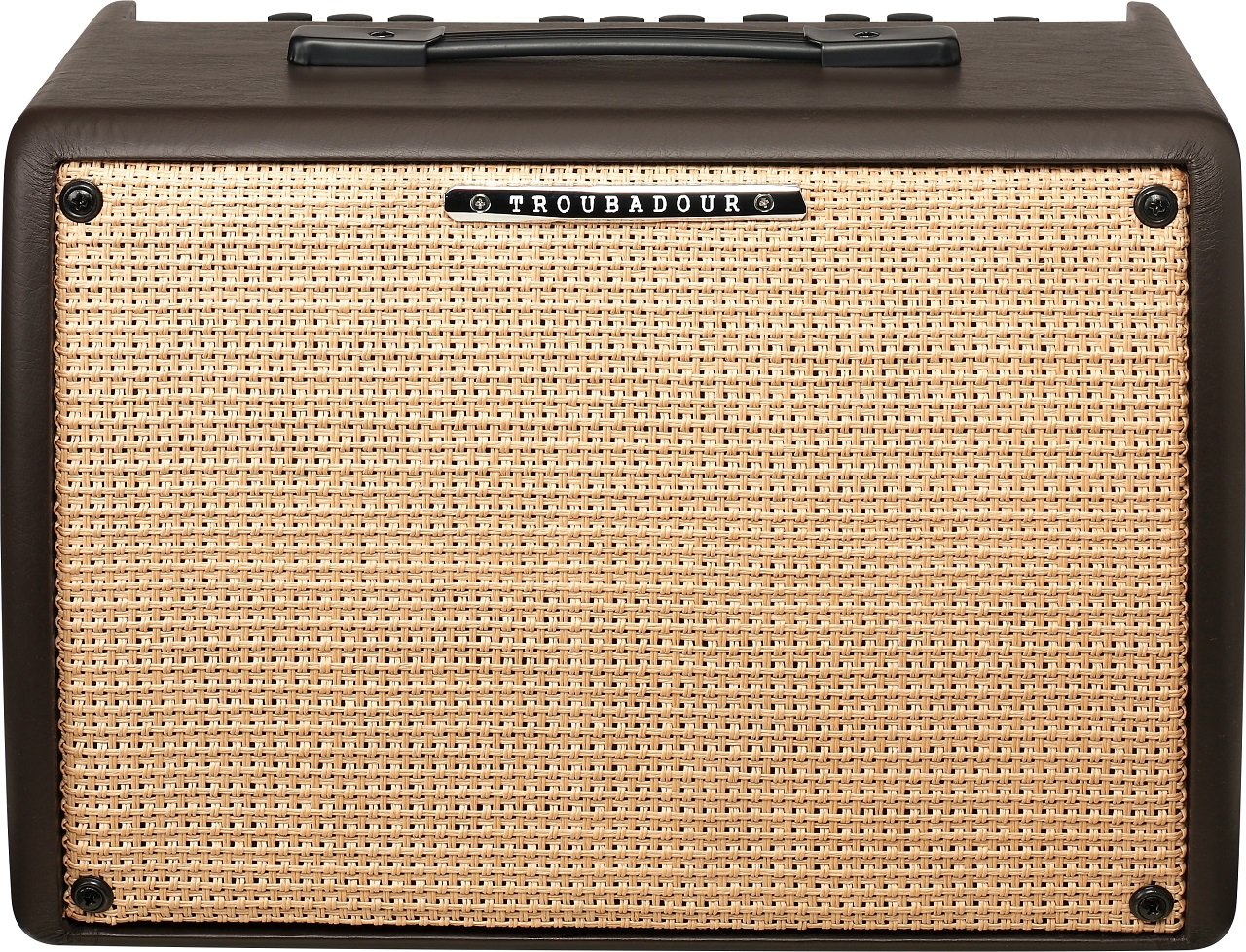 T30II Akustikverstärker Troubadour 30 Watt