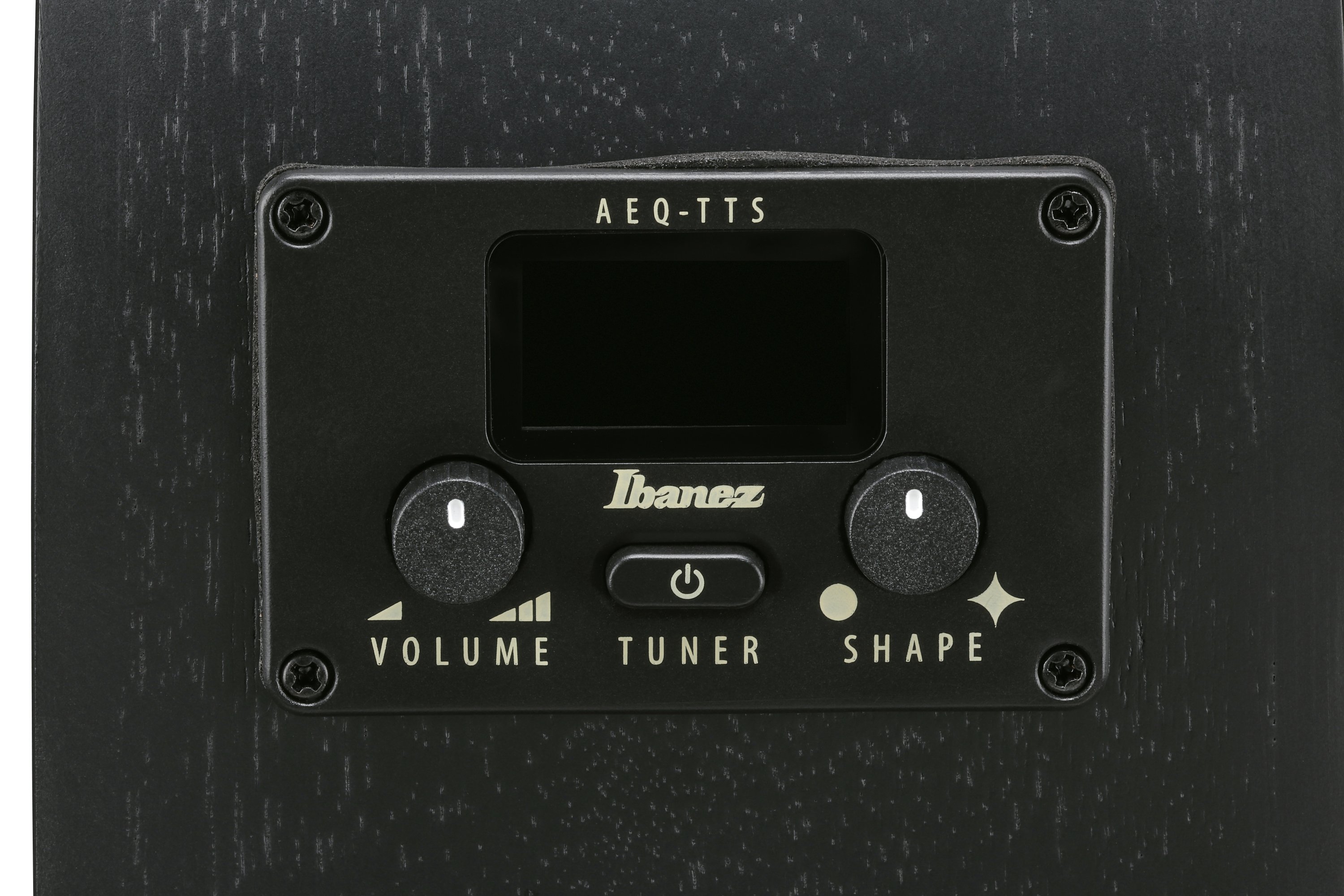 AEG621-BOT Westerngitarre