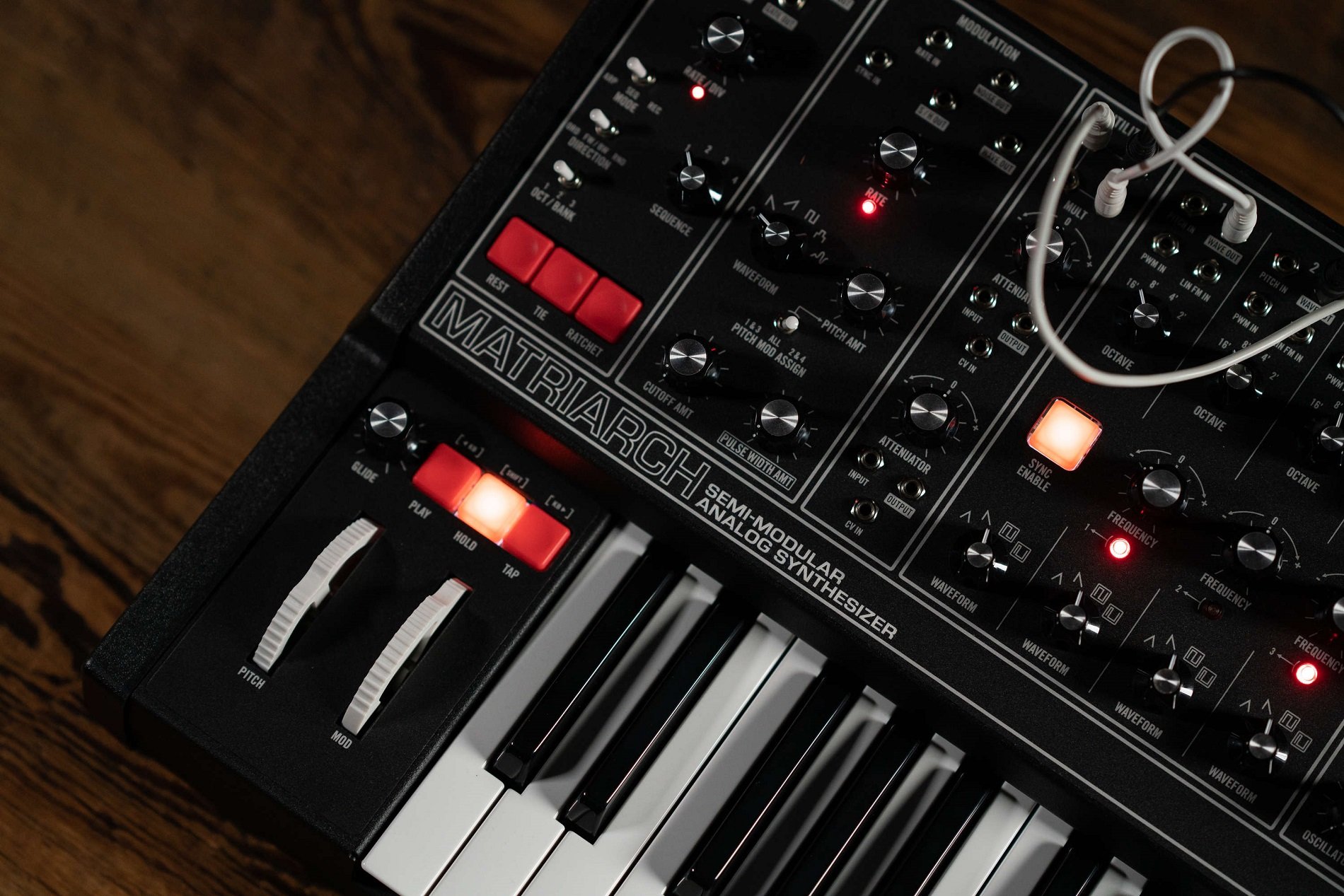 Matriarch - Analoger Synthesizer