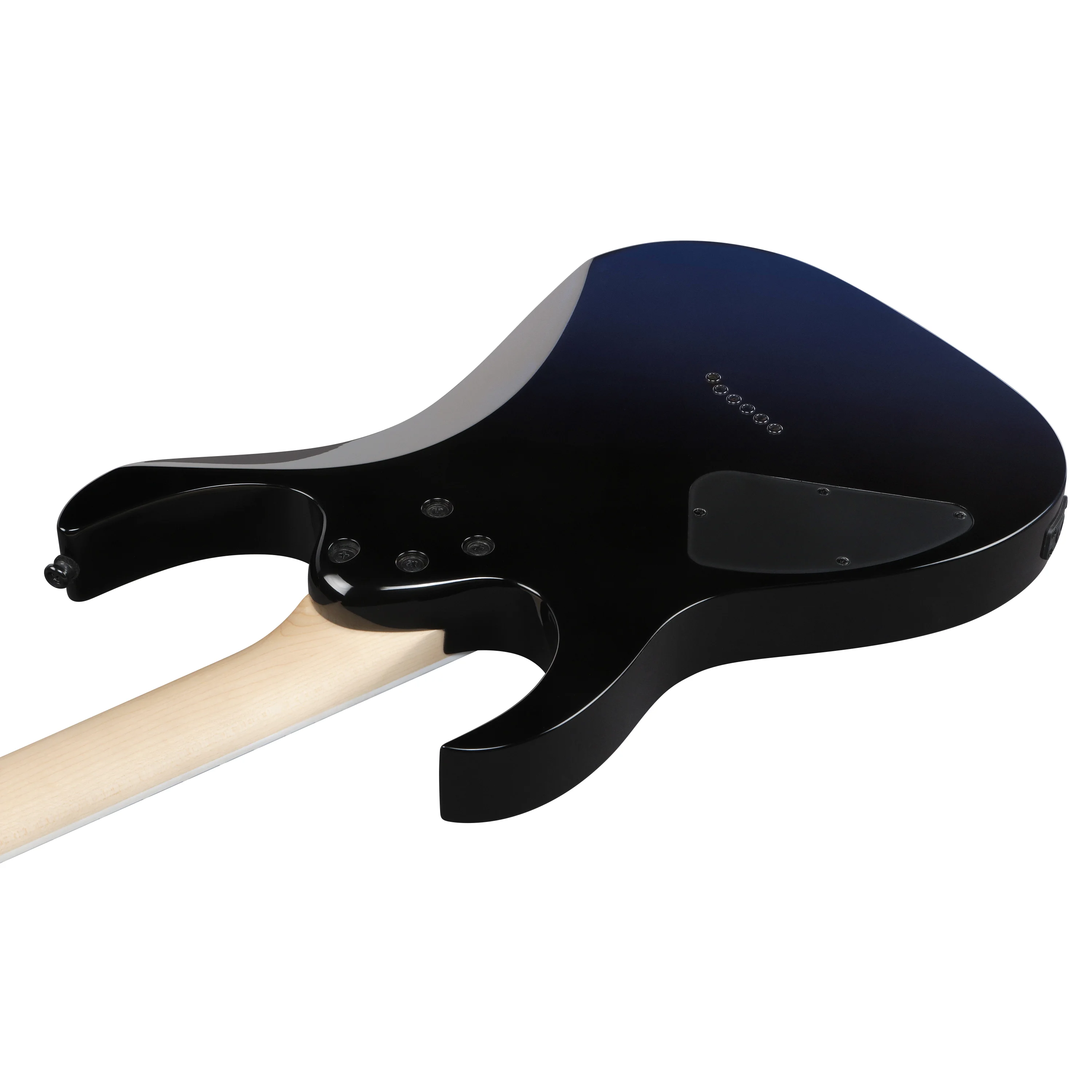 RG421DX-TWS RG Twilight Shade E-Gitarre