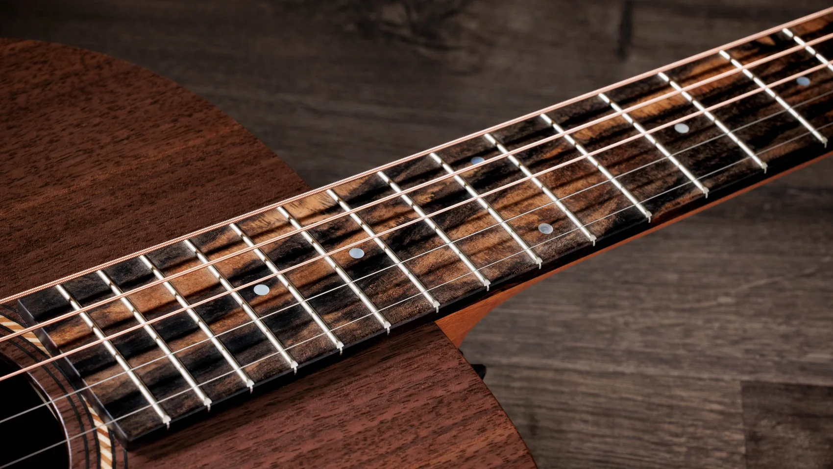 Jacob Collier Academy 22e 5-String Walnut