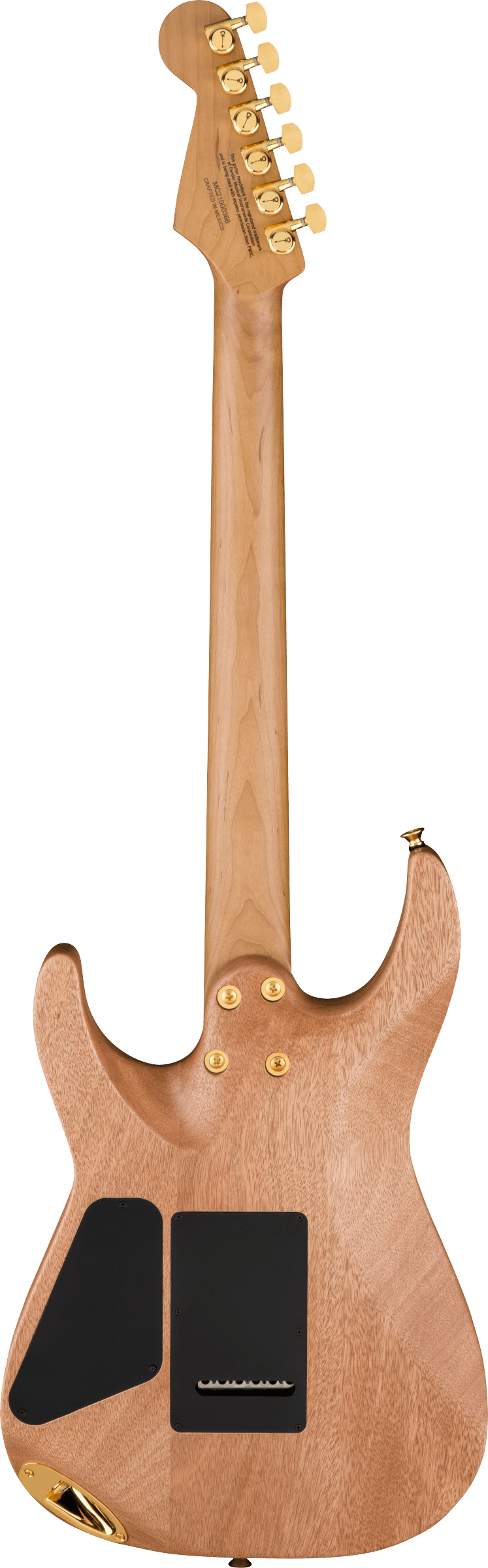 Pro-Mod DK22 SSS 2PT CM Mahogany with Walnut, Natural