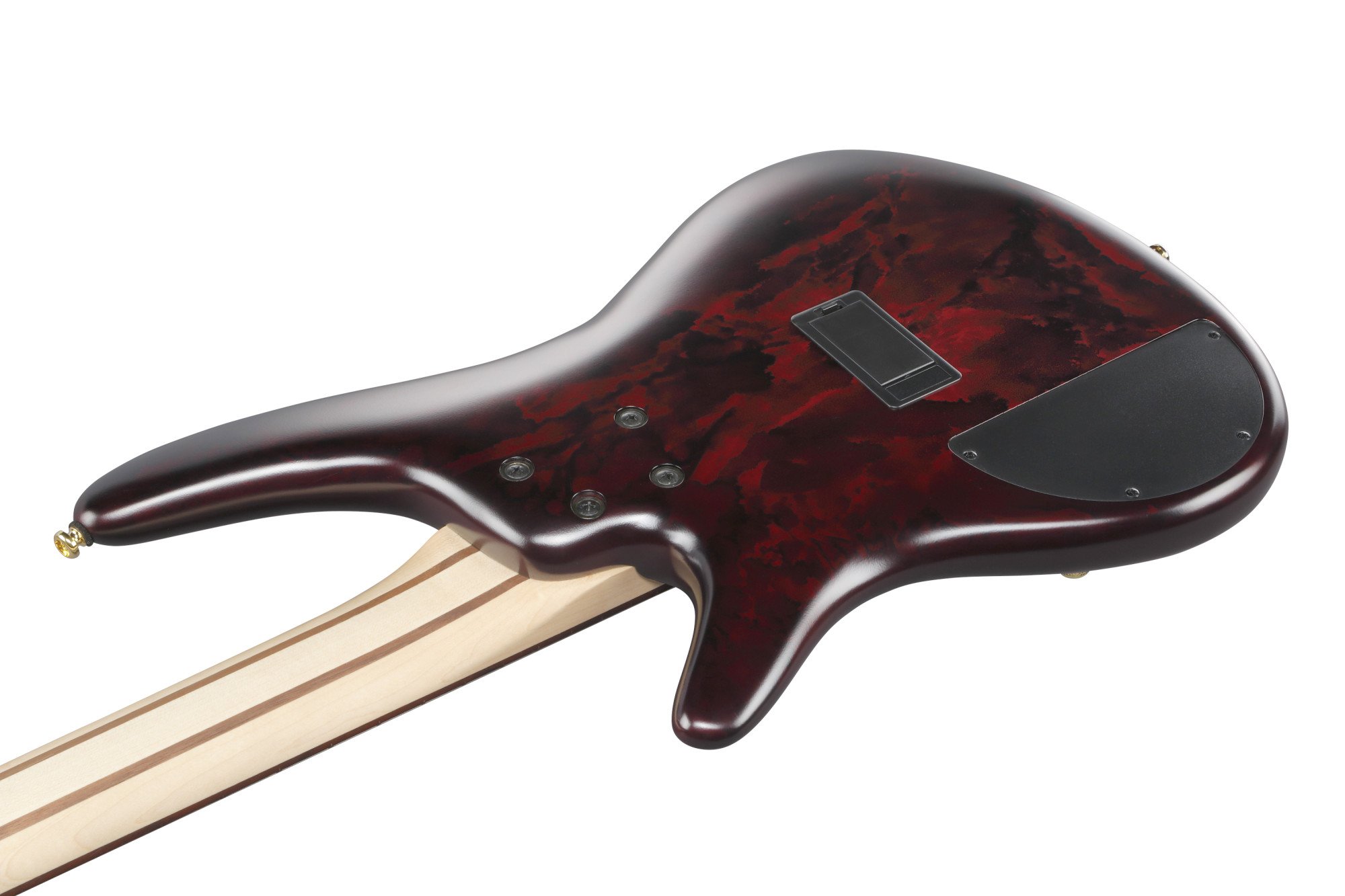 SR305EDX-WZM 5-Saiter Bass