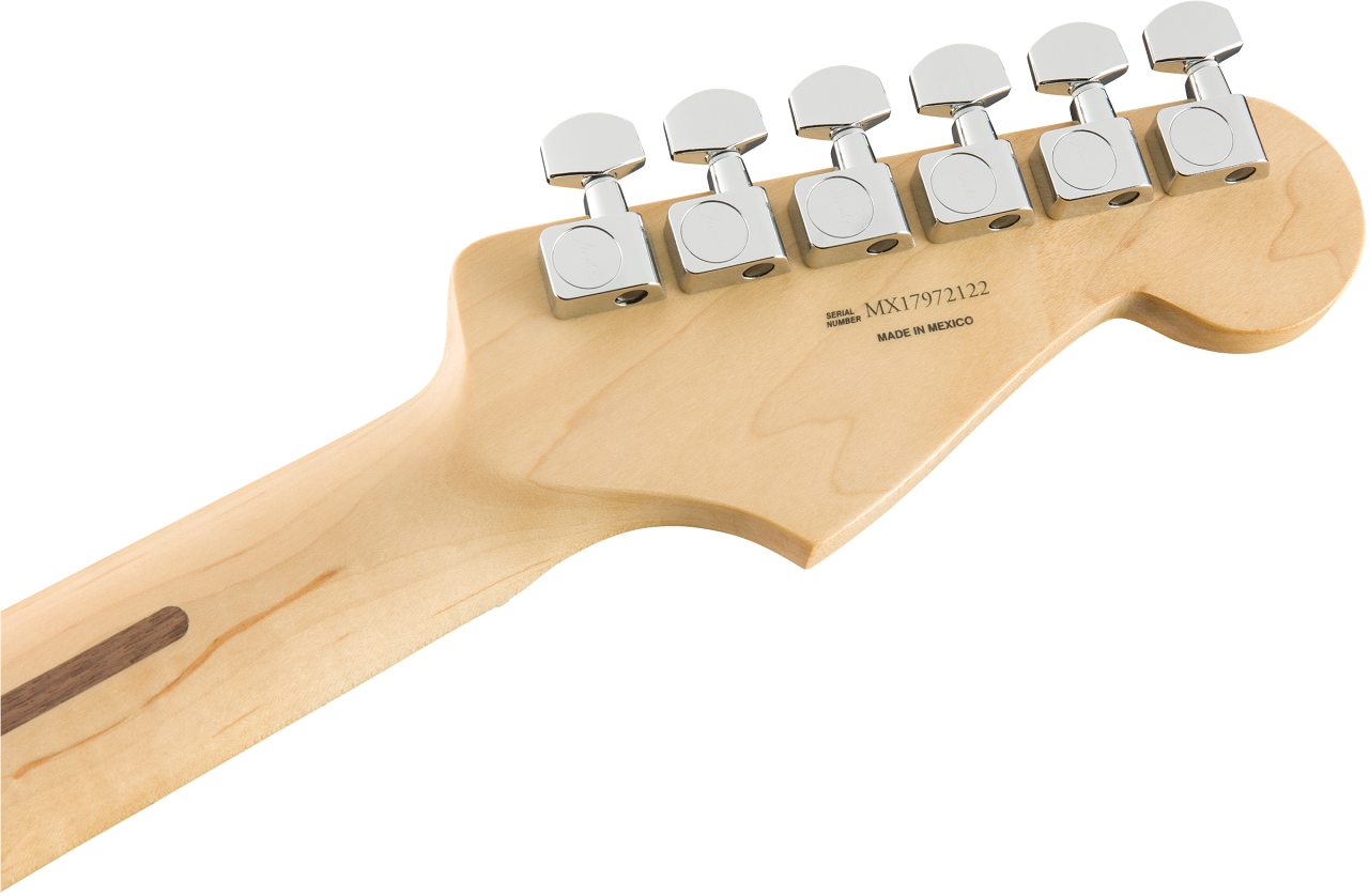Player Stratocaster® Left-Handed, Maple Fingerboard, Tidepool 