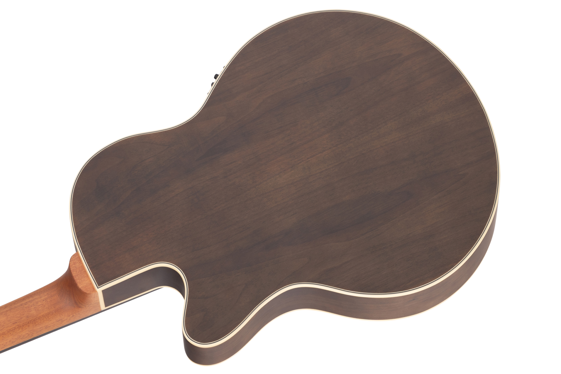 Alien Deluxe Hybrid Thinline, 5-String, Fretless  