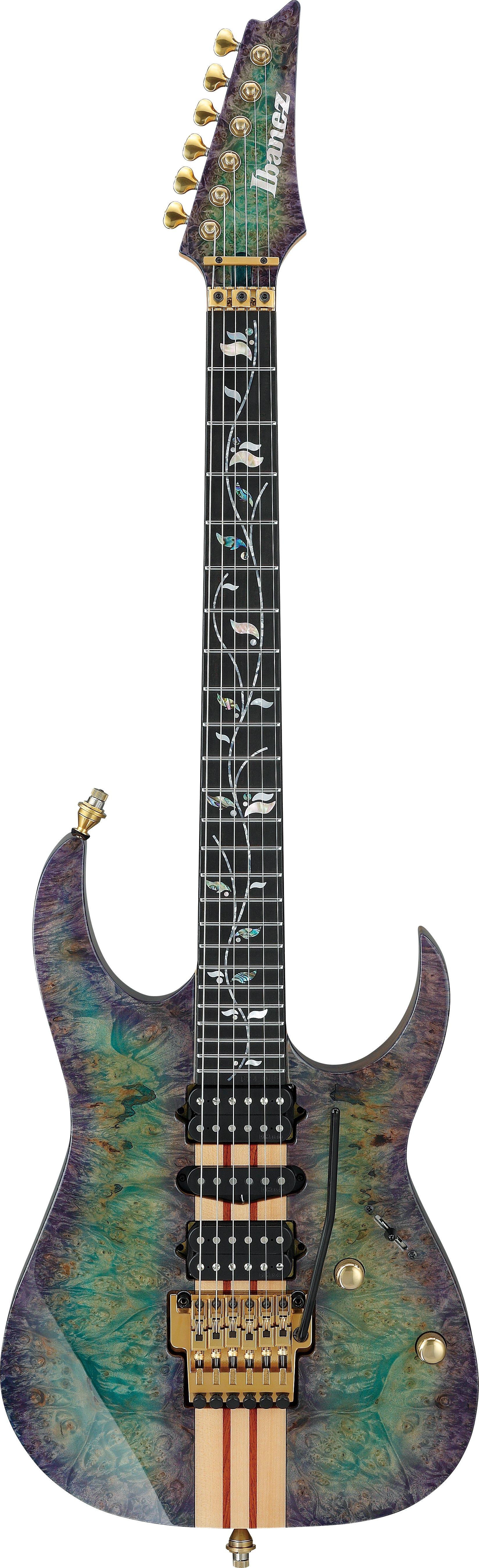 IV2RG Visions RG
