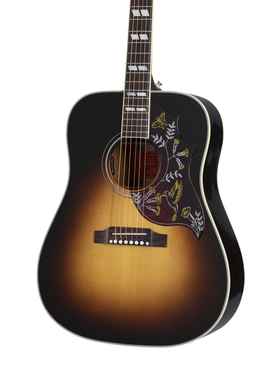 Hummingbird Standard