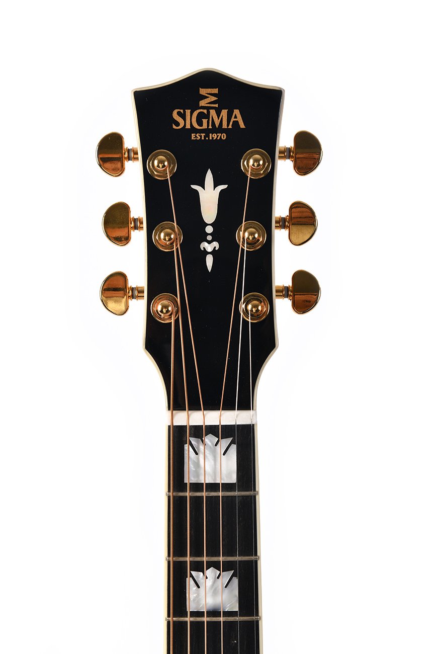 SGJK-SG200-VSB