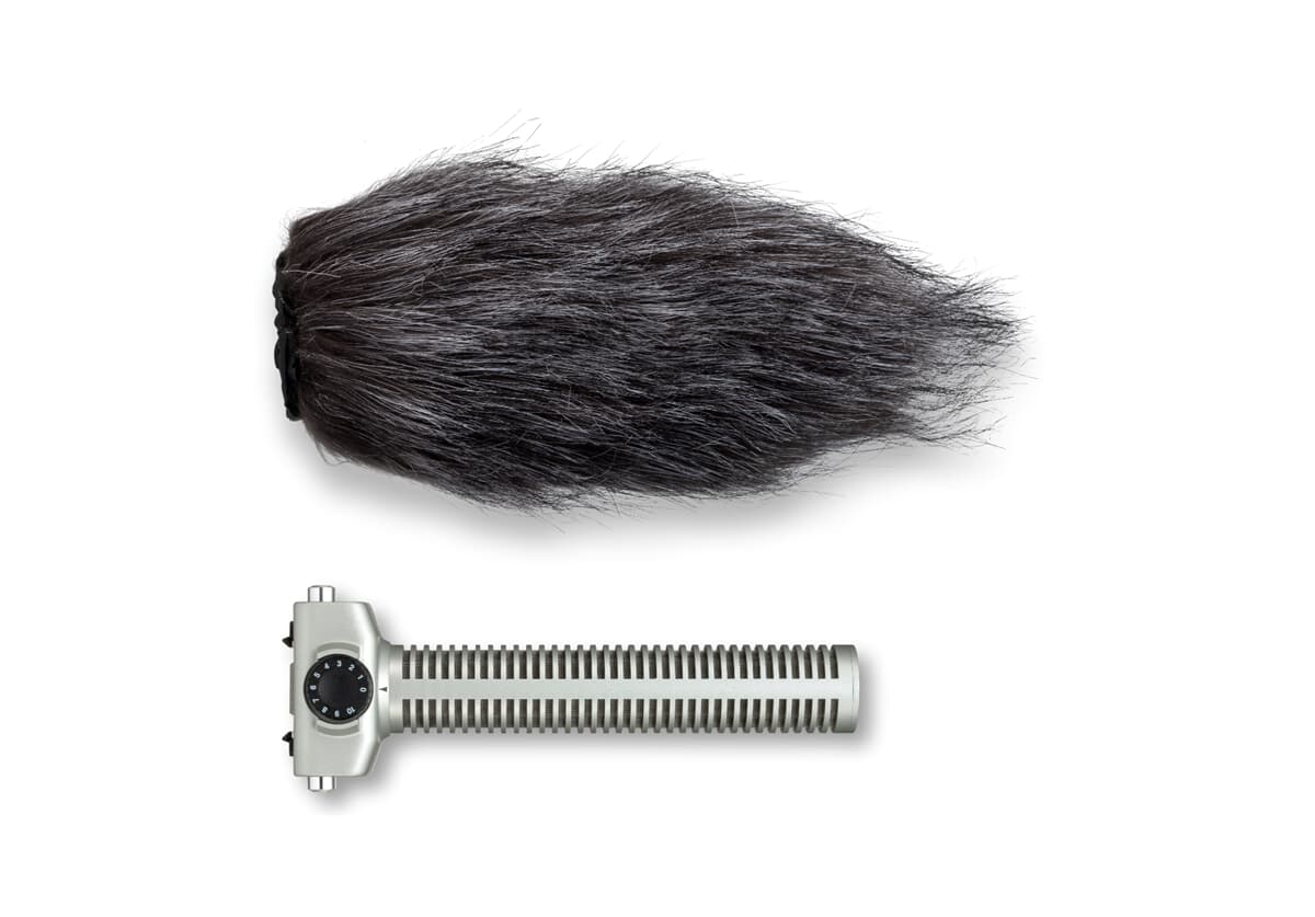 SGH-6