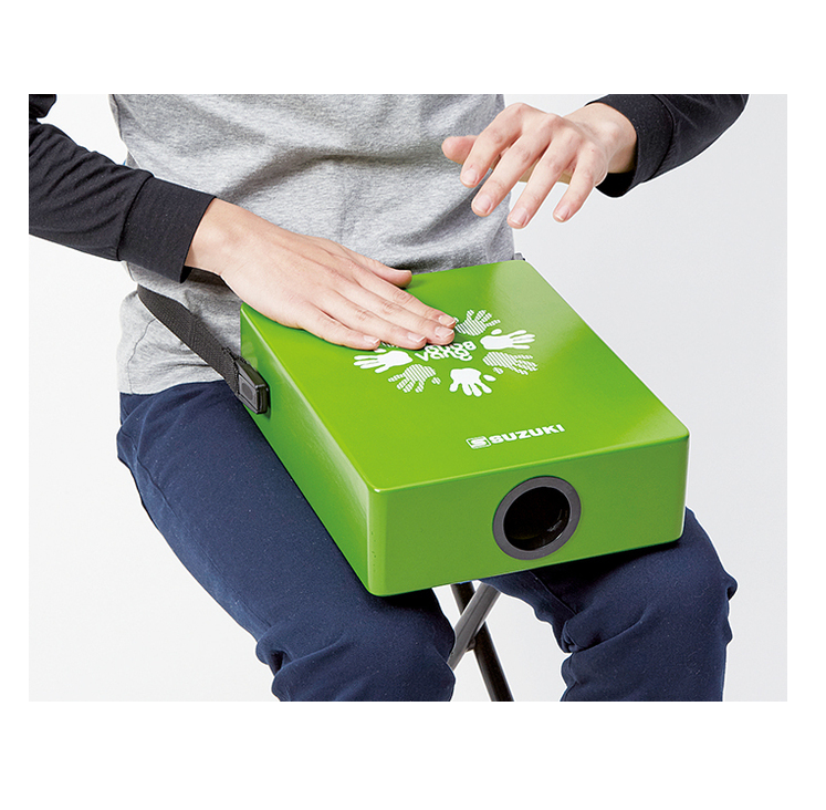 LTC-1G Laptop Cajon Grün
