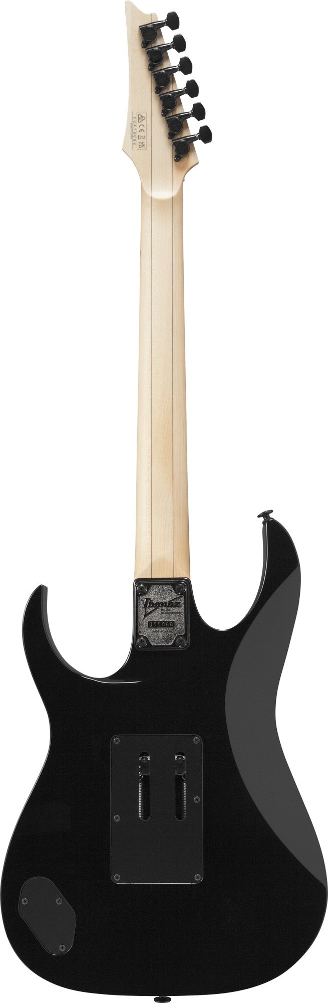 RG550 E-Gitarre Black 
