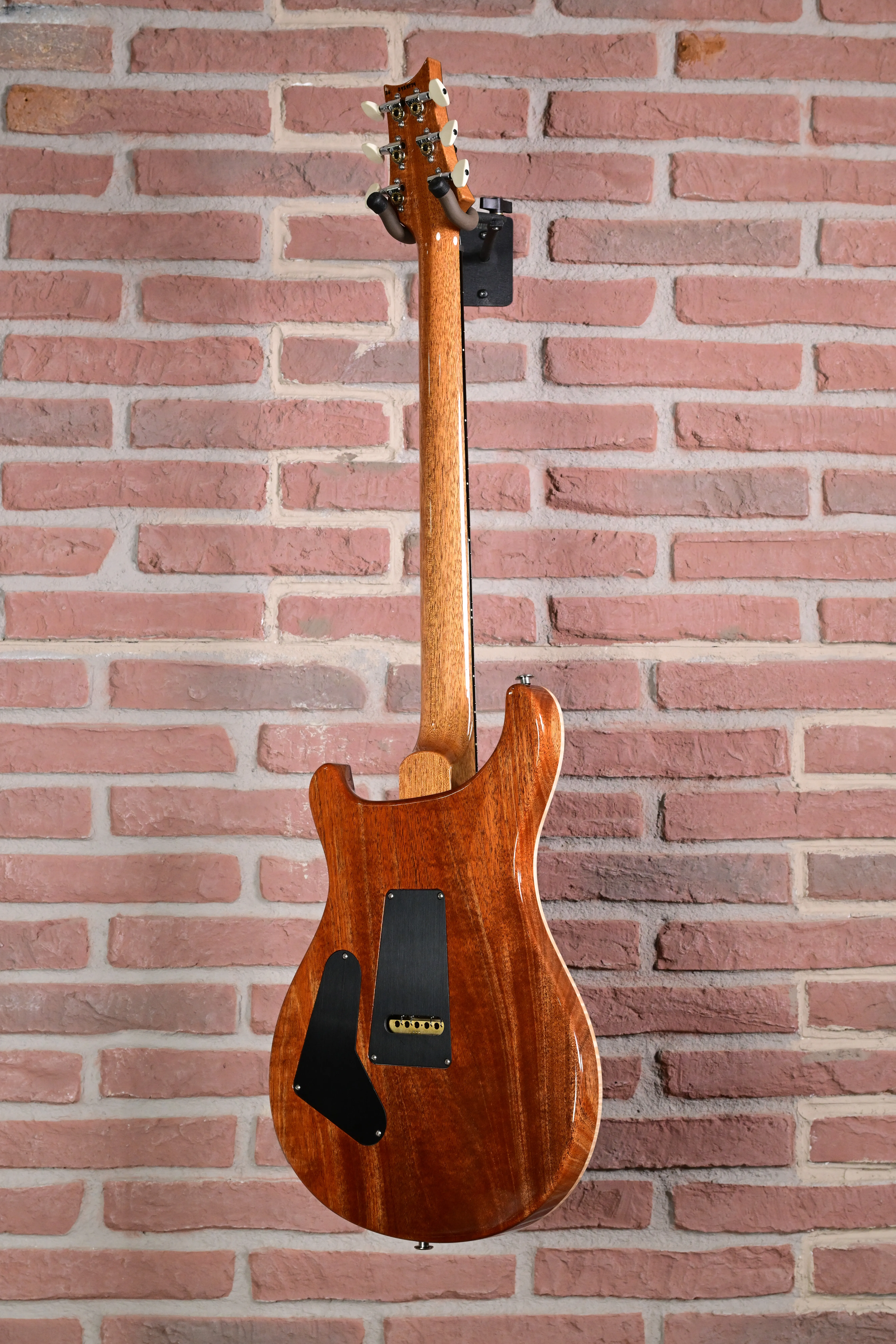 Custom 24 Birds of a Feather Limited Charcoal Microburst E-Gitarre