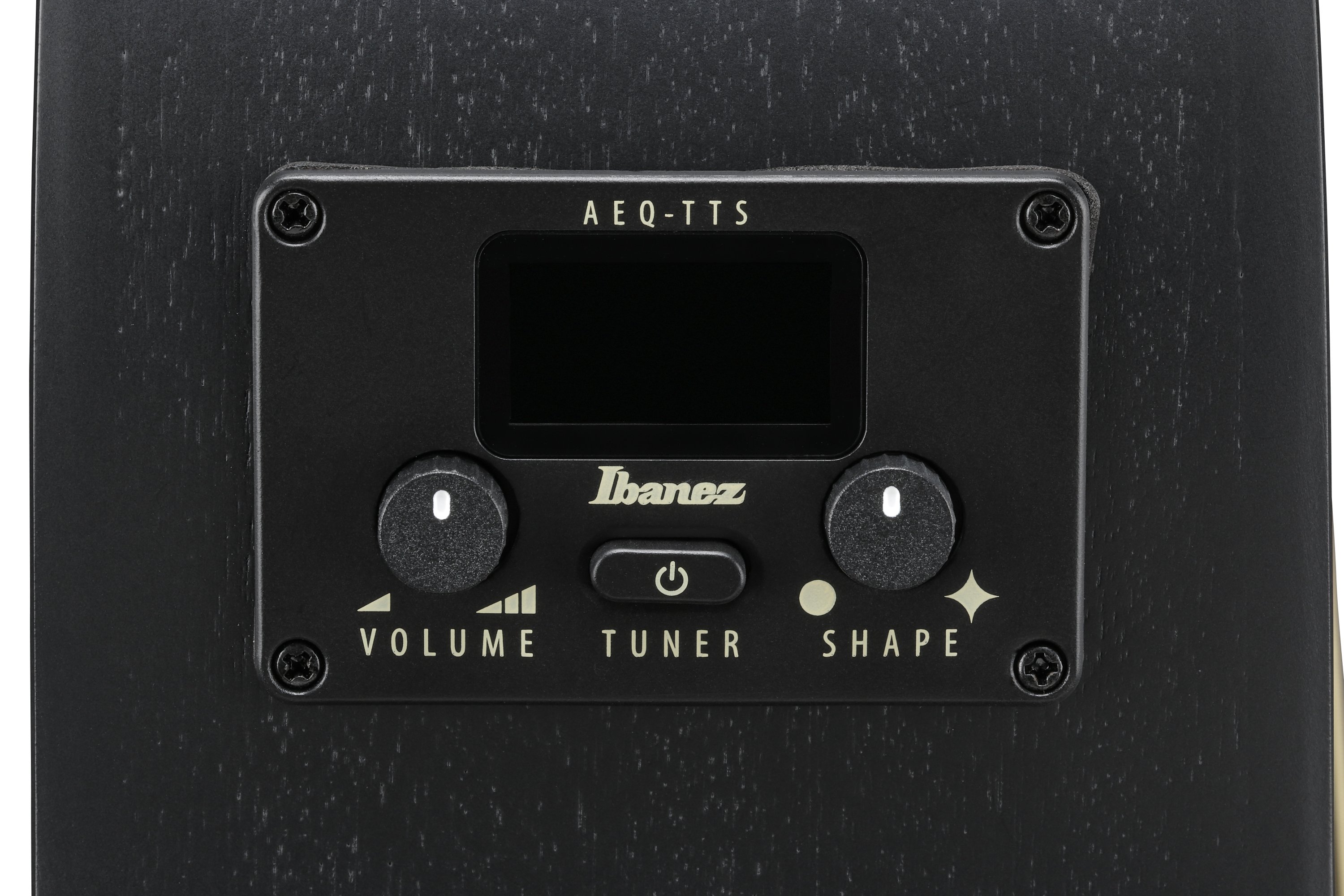 AEG1221-BOT 12-Saiter Westerngitarre