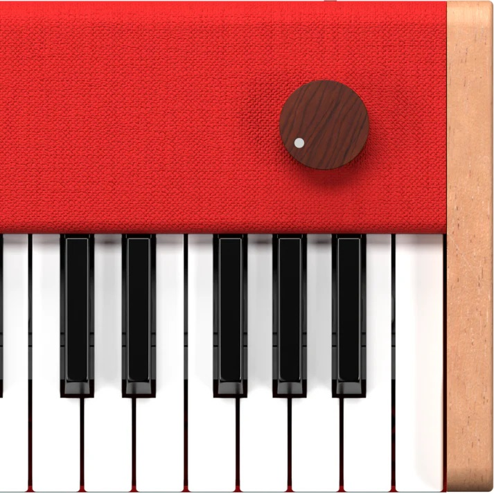 Loog Piano & Case