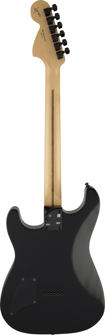 Jim Root Stratocaster  Flat Black