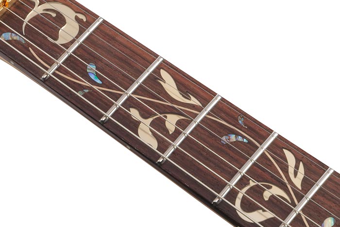 PIA77BON2 Steve Vai Signature E-Gitarre