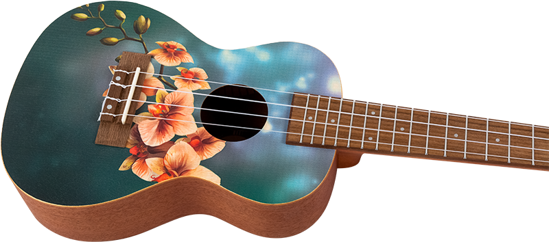 AUC-33 Orchid Concert Ukulele