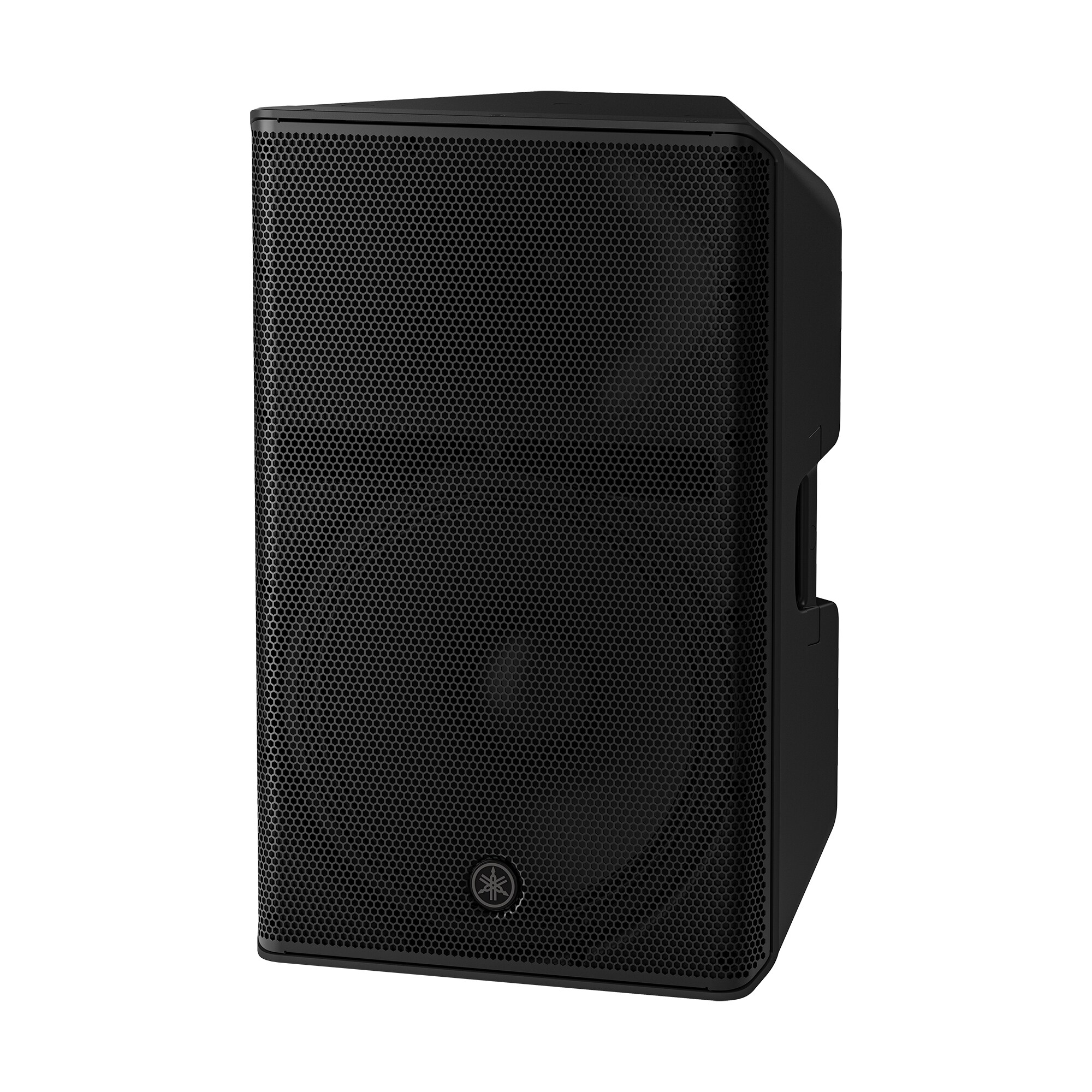 CXR15 MKIII Passive PA Speaker