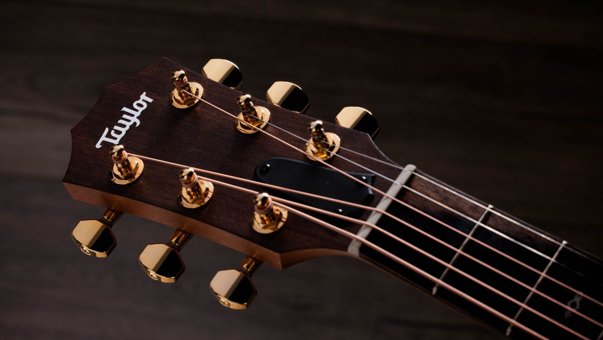 Sunset Boulevard GS Mini-e Rosewood  SEB
