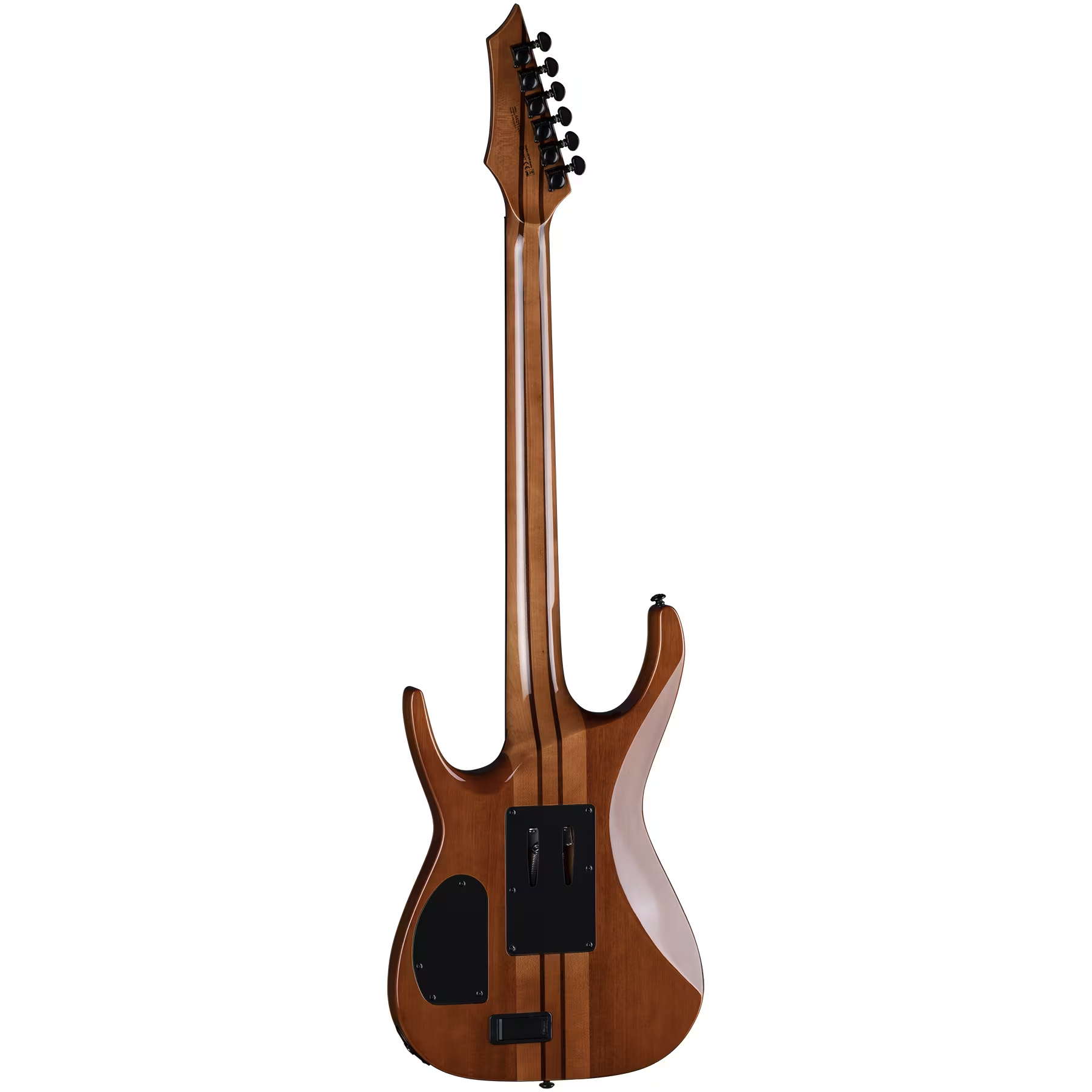 Exile Select Floyd Neck-Thru Archtop Trans Black Burst  