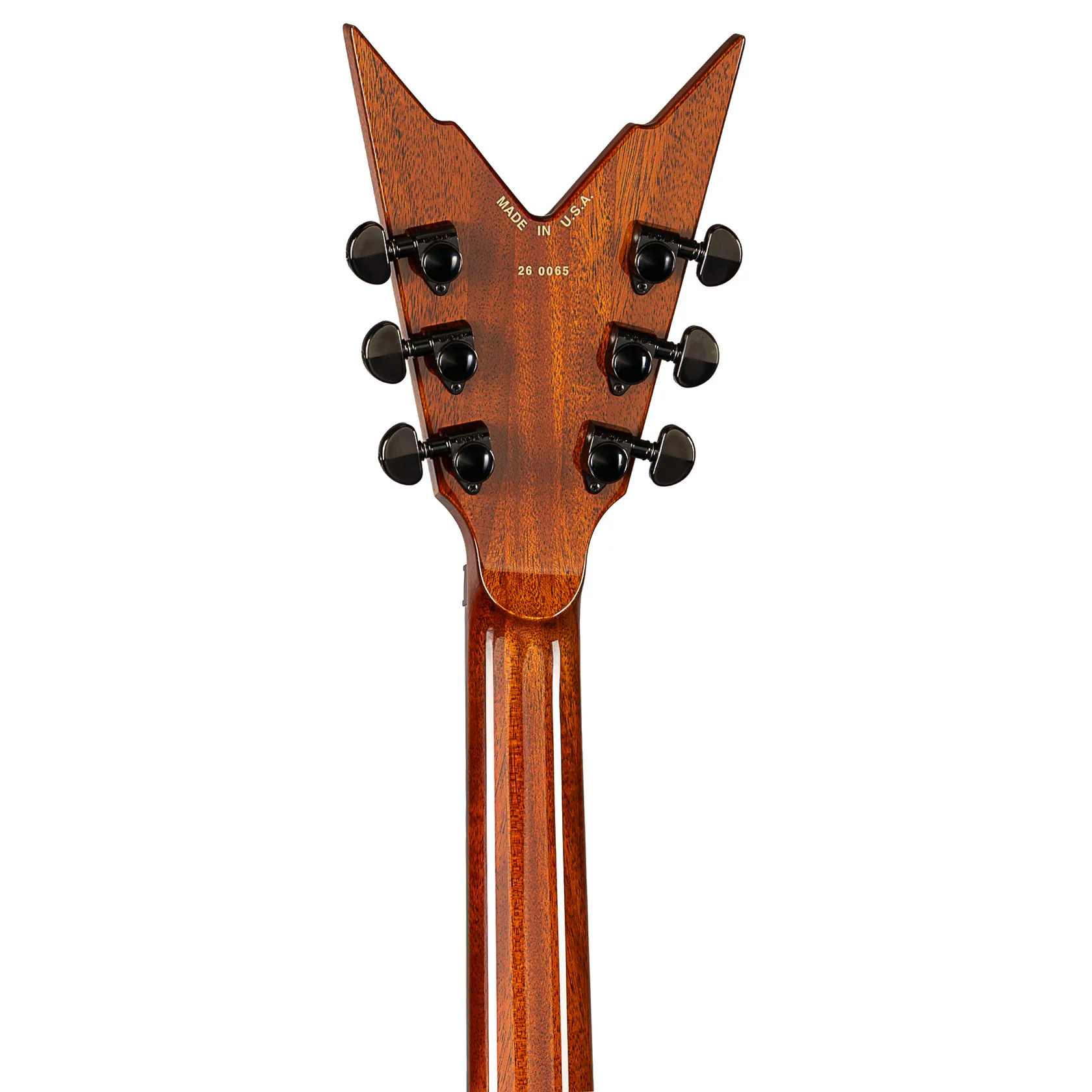 USA Razorback V Floyd Flame Top E-Gitarre
